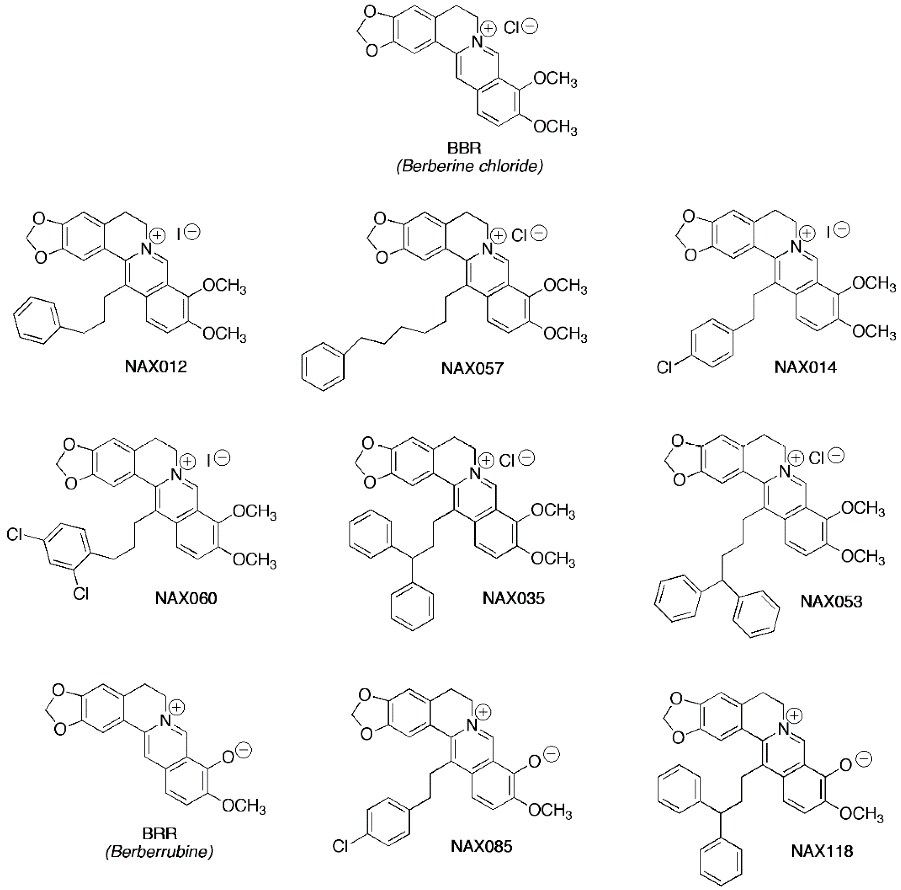 Biomedicines 11 03317 g001