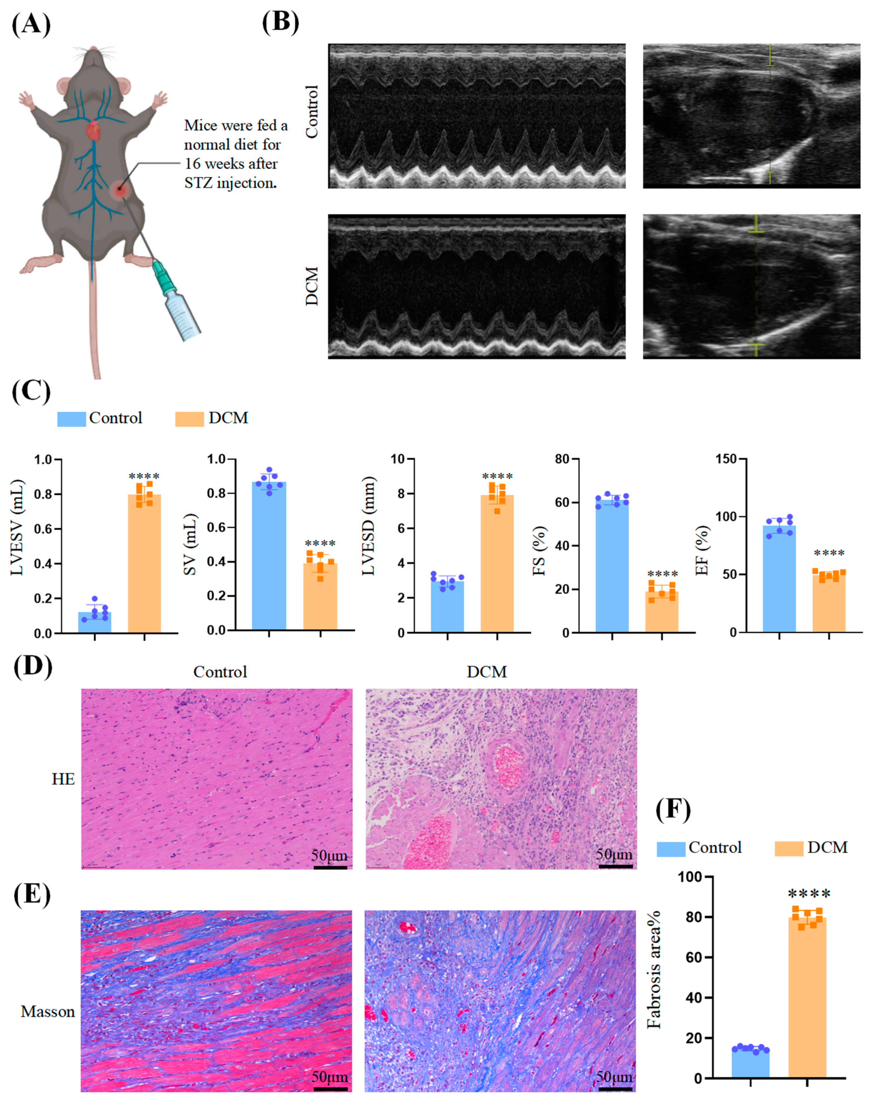 Biomedicines 11 03319 g002