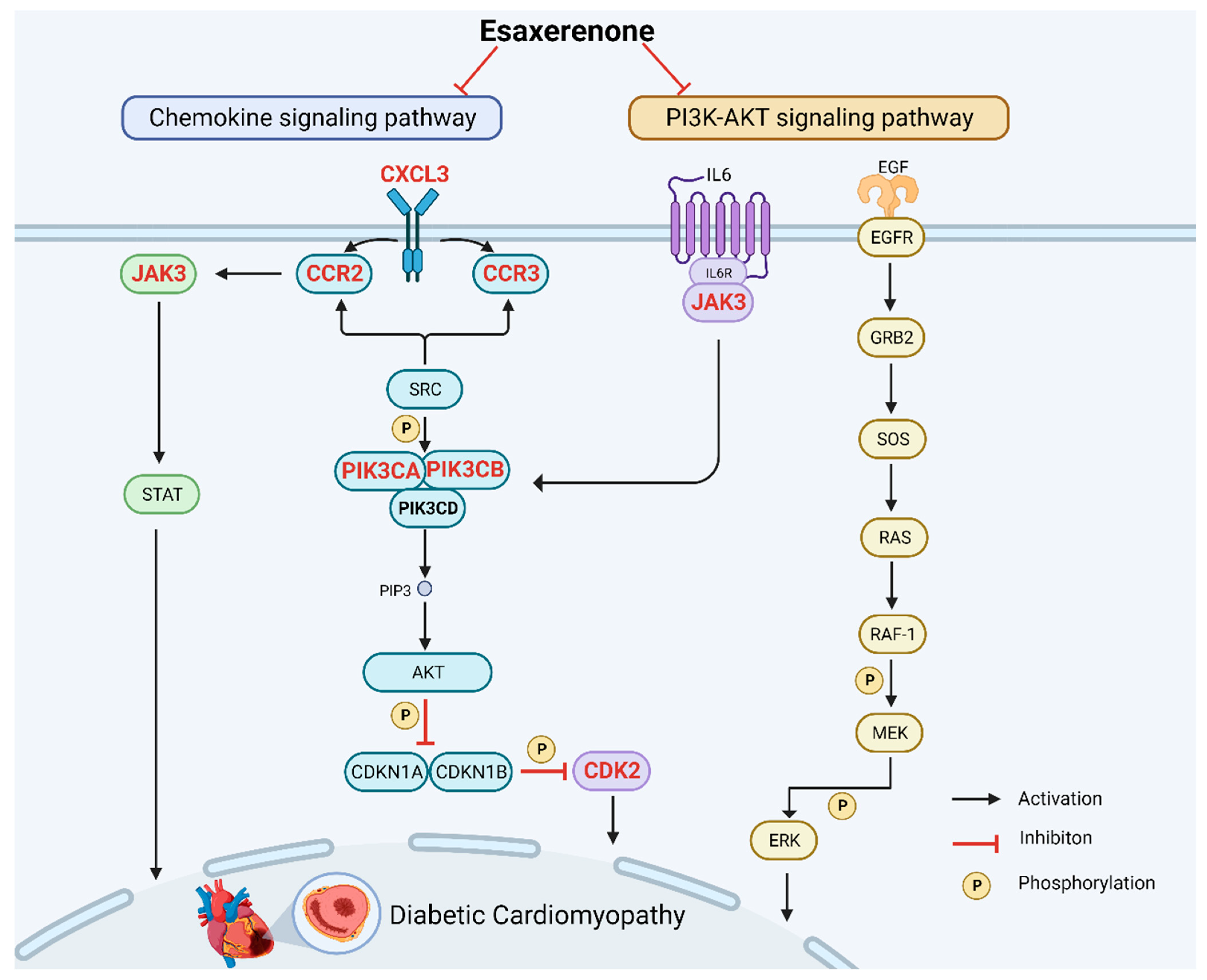 Biomedicines 11 03319 g007
