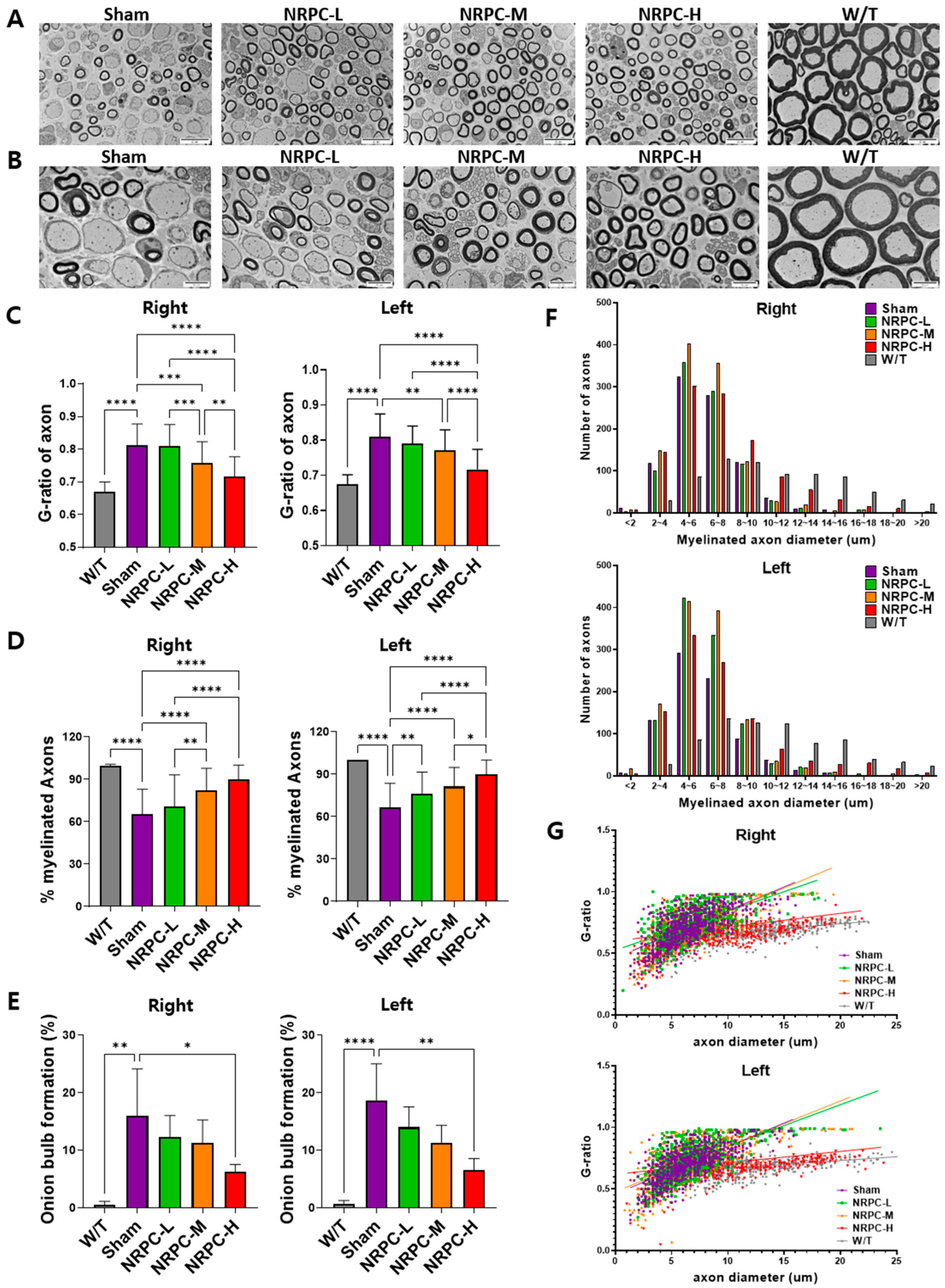 Biomedicines 11 03334 g005 Biomedicines 11 03334 g005