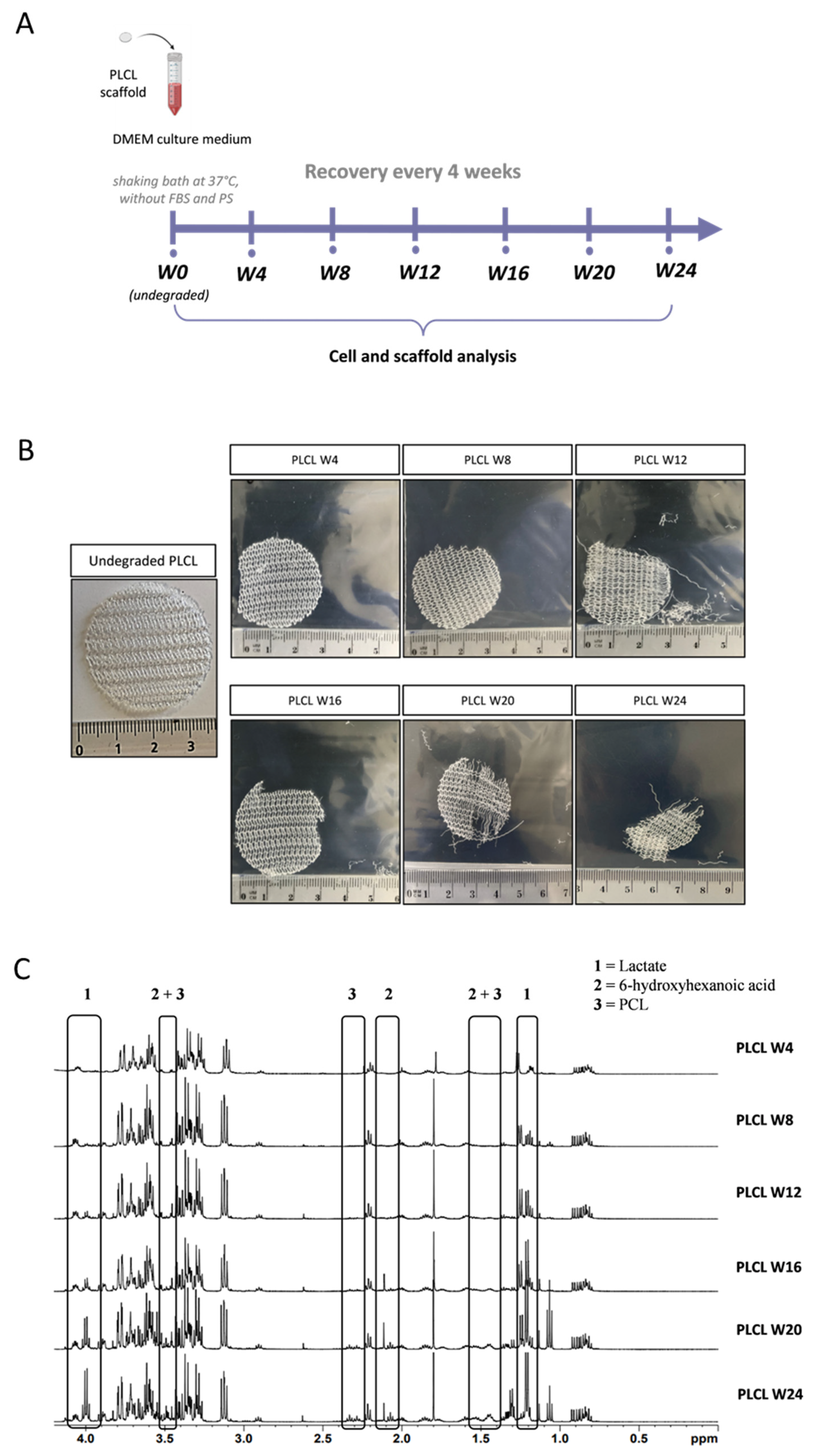 Biomedicines 11 03337 g003