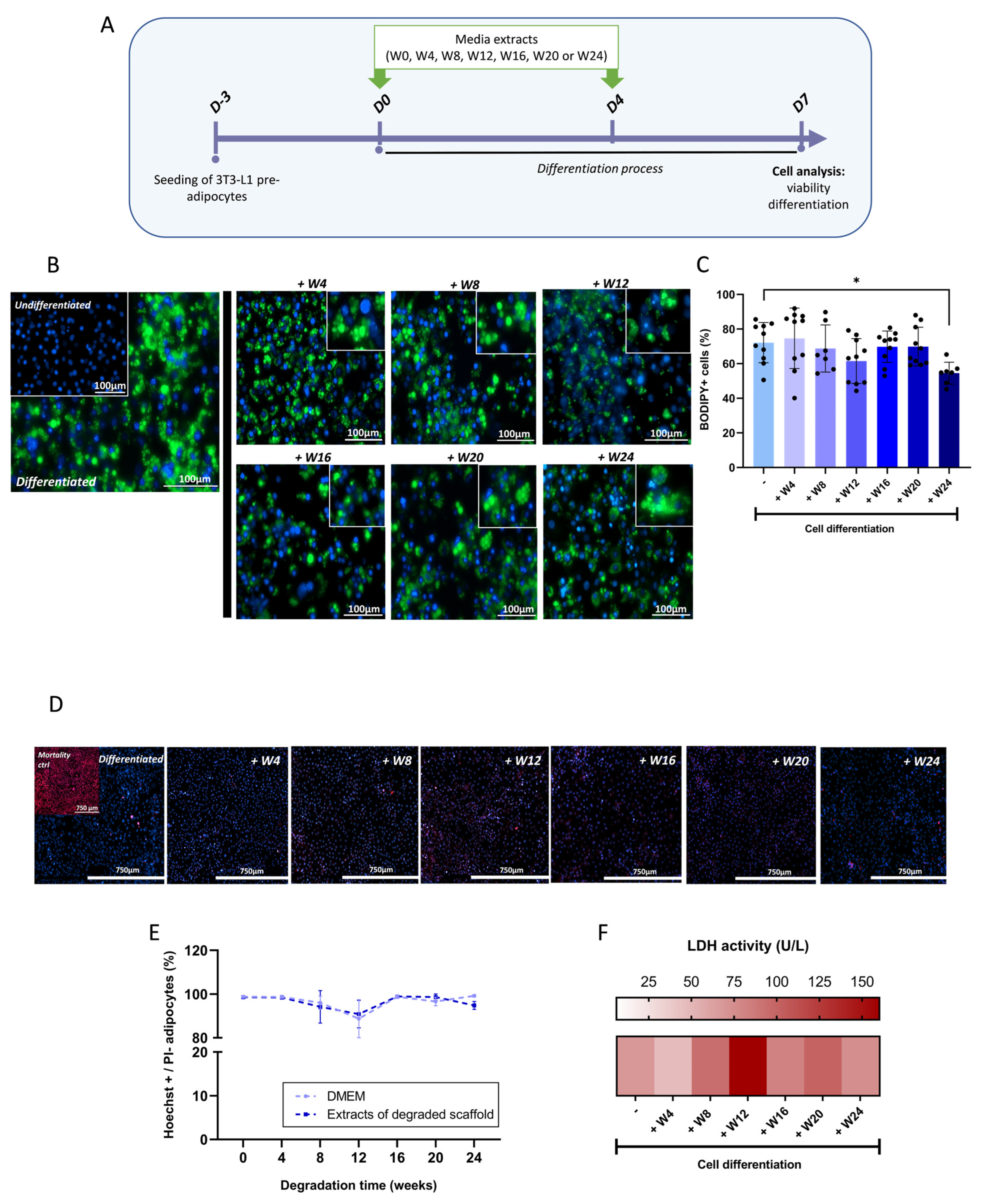 Biomedicines 11 03337 g004