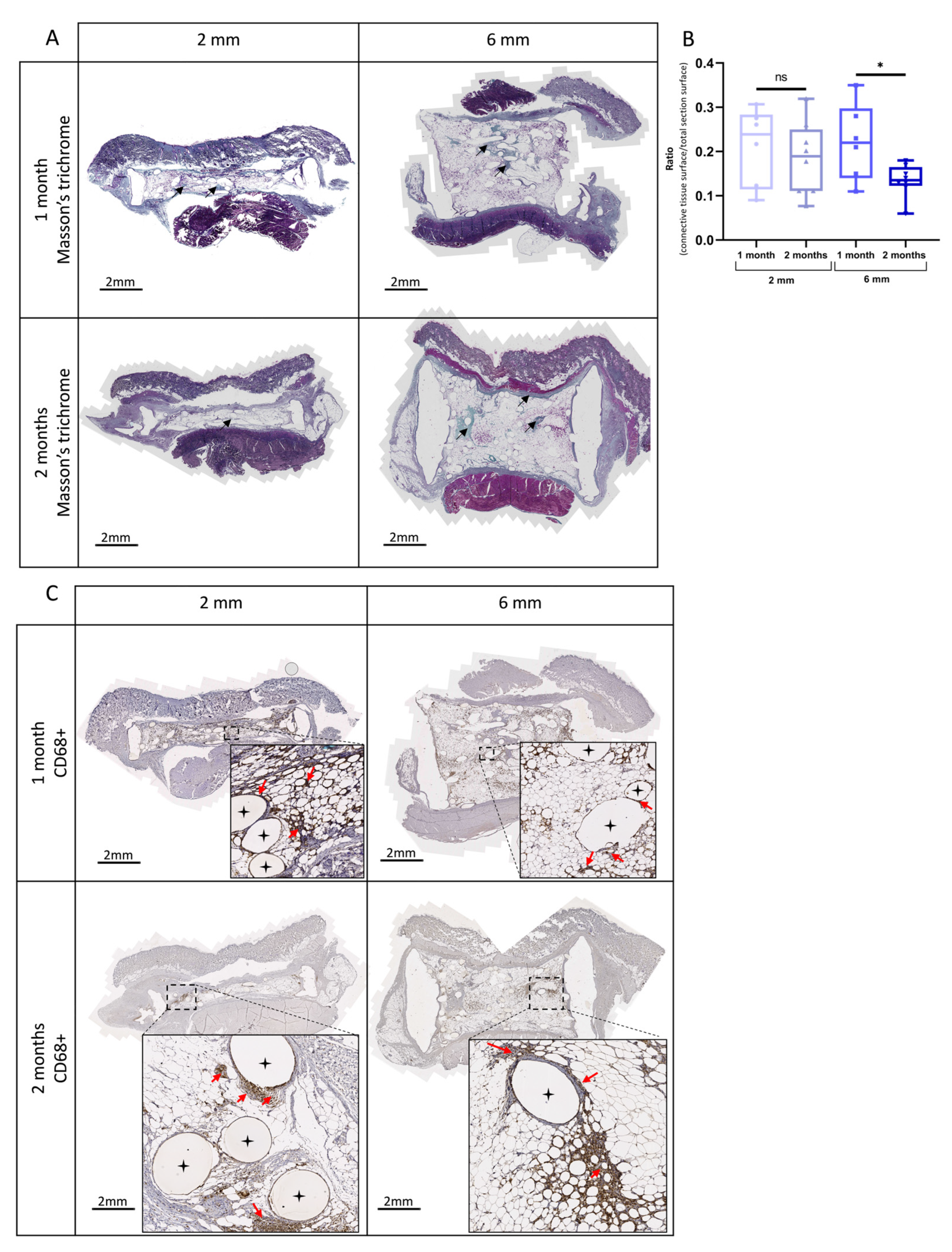 Biomedicines 11 03337 g008