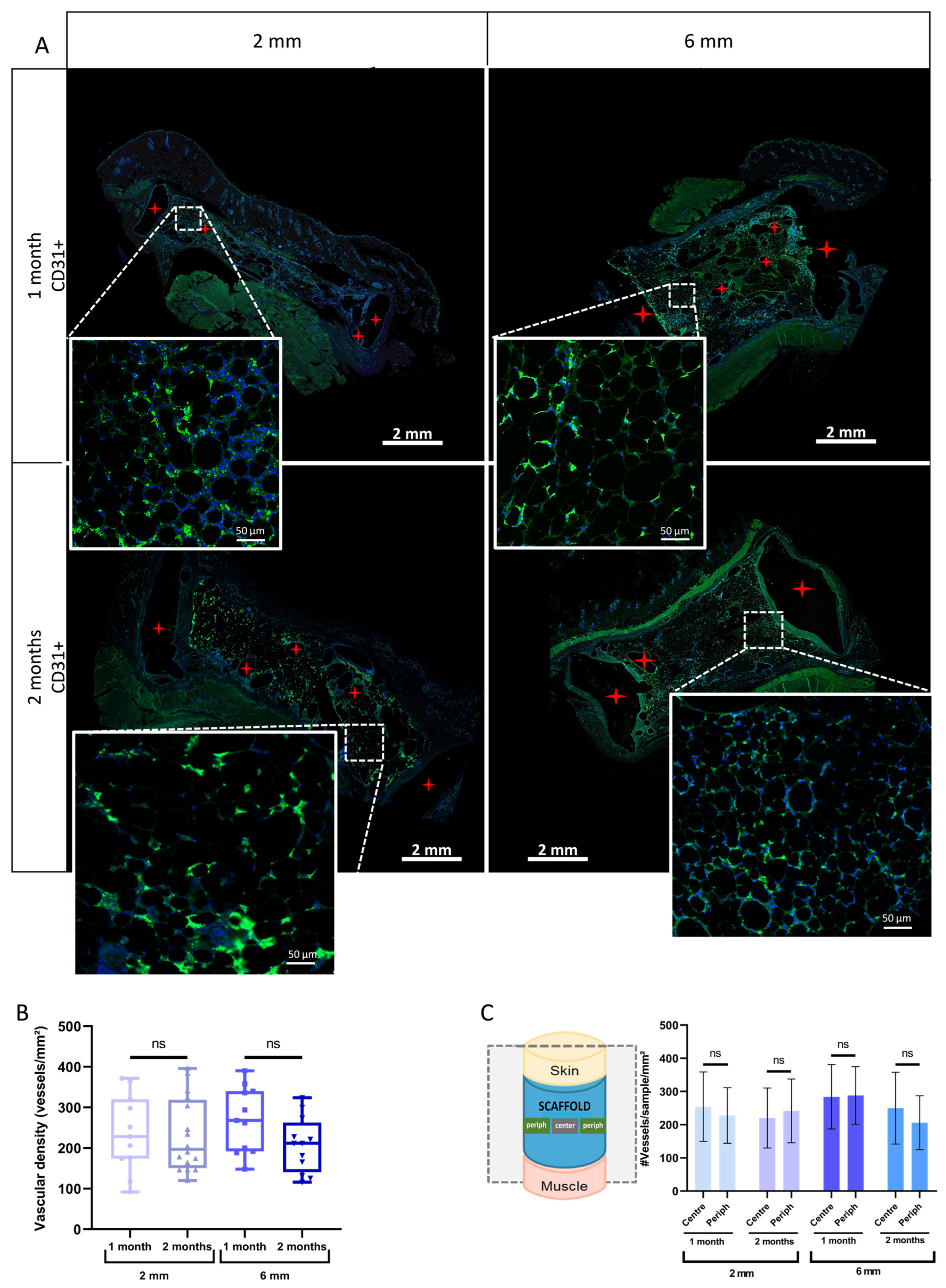 Biomedicines 11 03337 g009