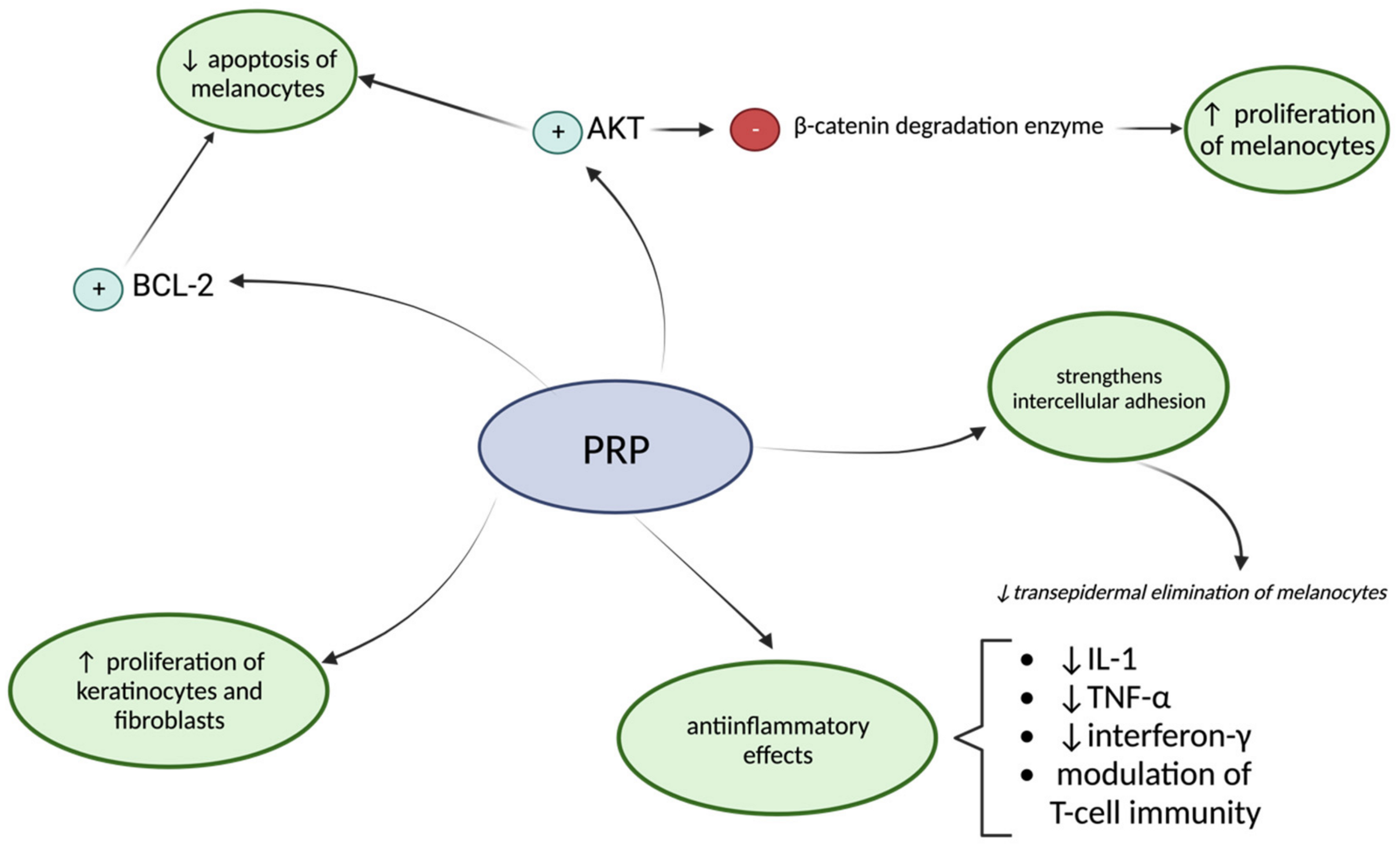Biomedicines 12 00007 g006