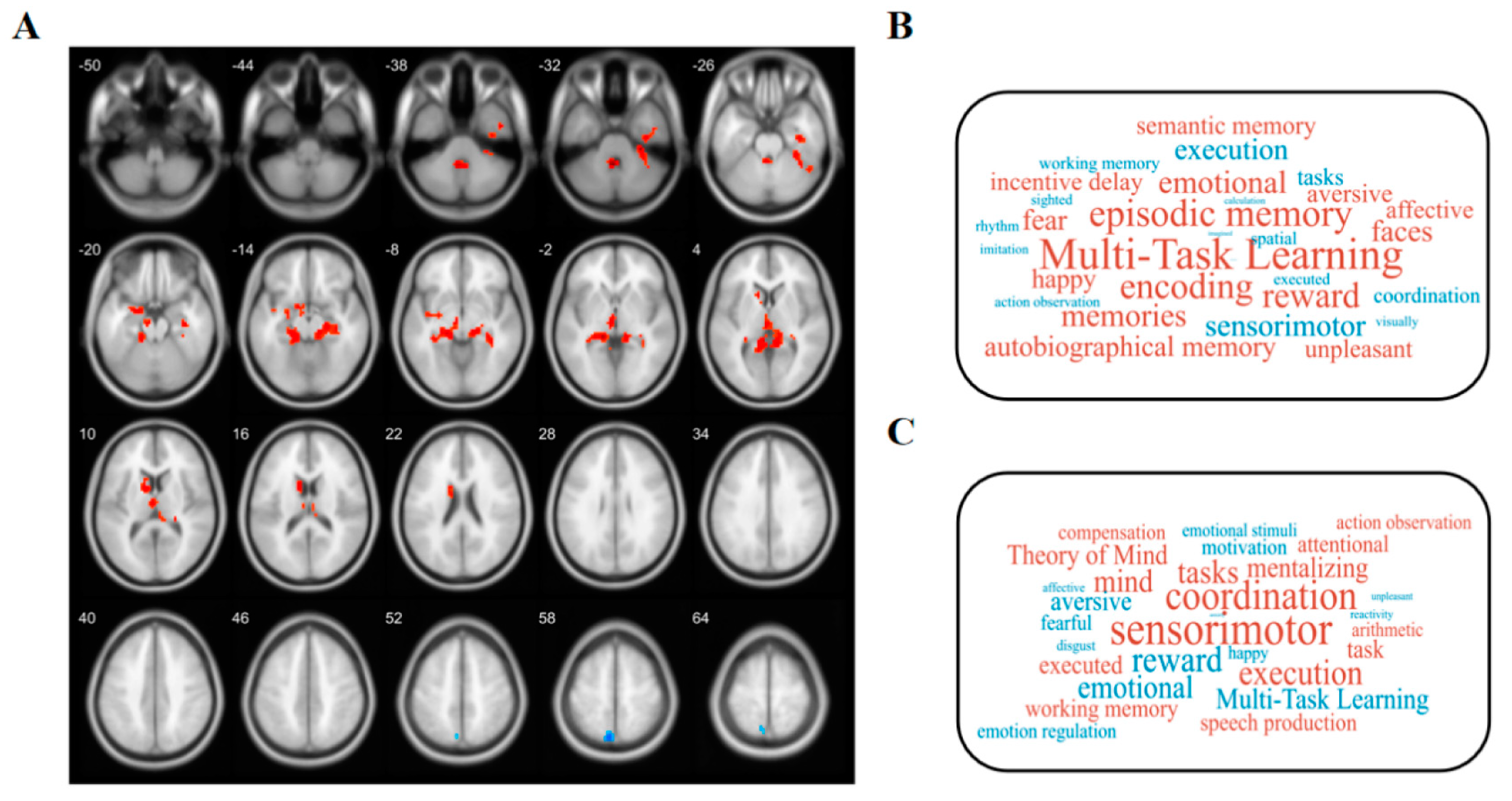 Biomedicines 12 00015 g002