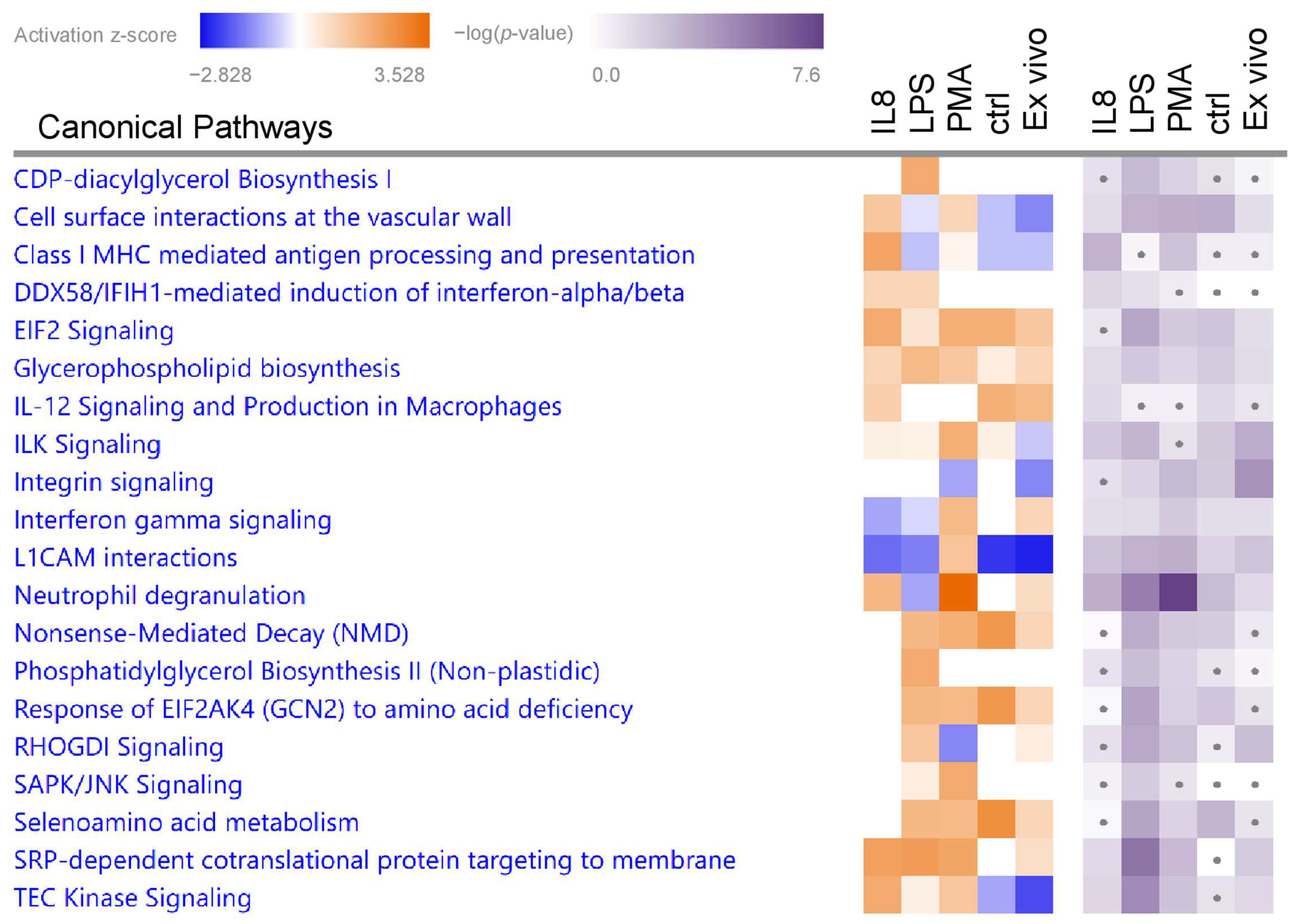 Biomedicines 12 00019 g003 Biomedicines 12 00019 g003