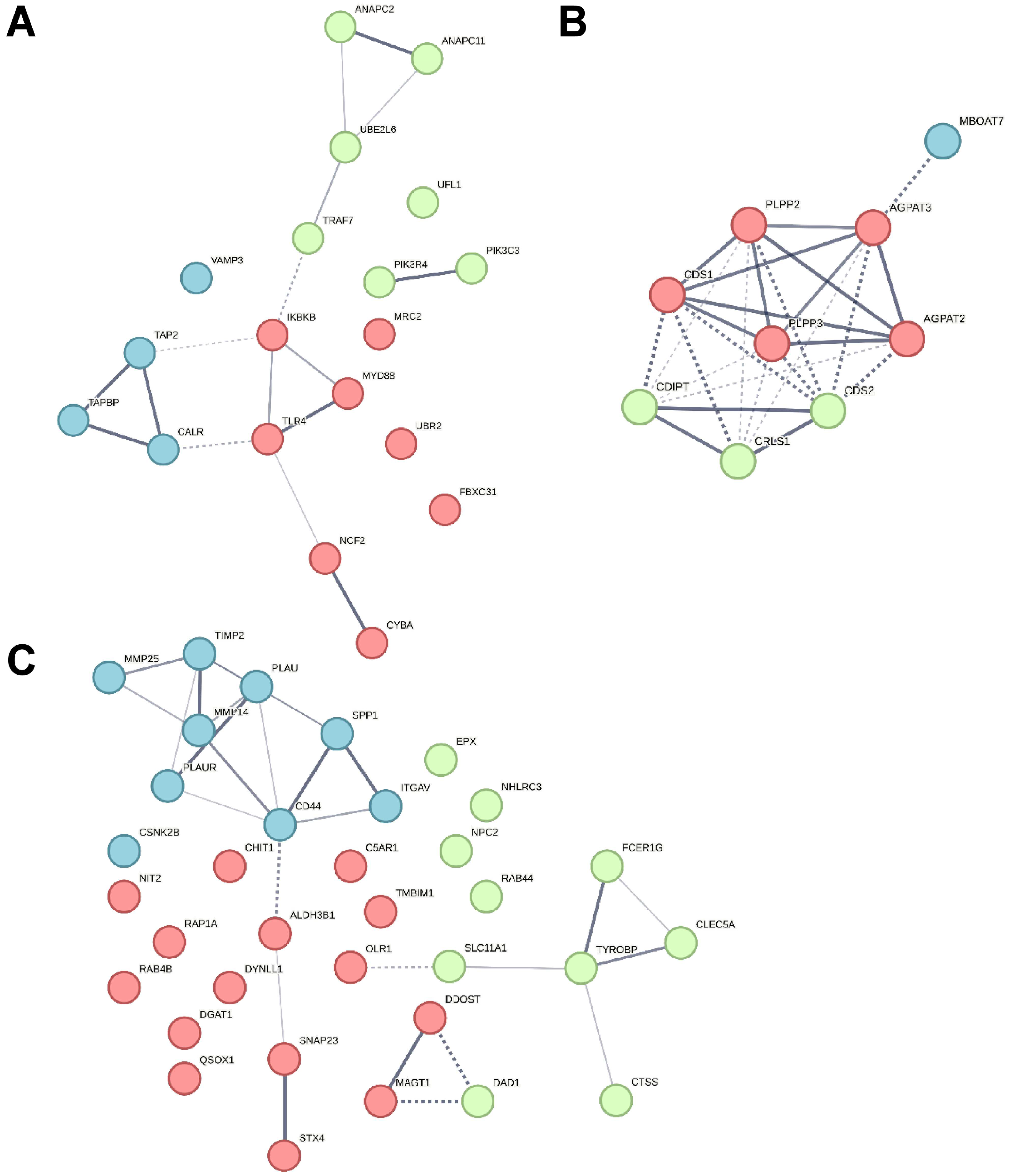Biomedicines 12 00019 g005 Biomedicines 12 00019 g005