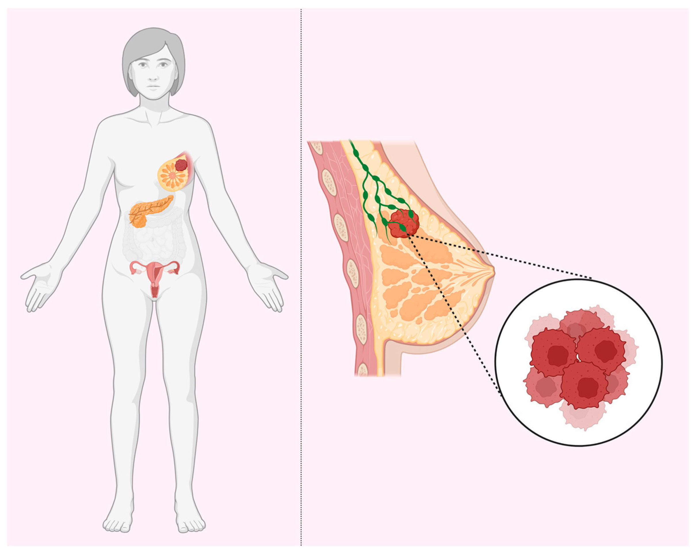 Biomedicines 12 00022 g001 Biomedicines 12 00022 g001