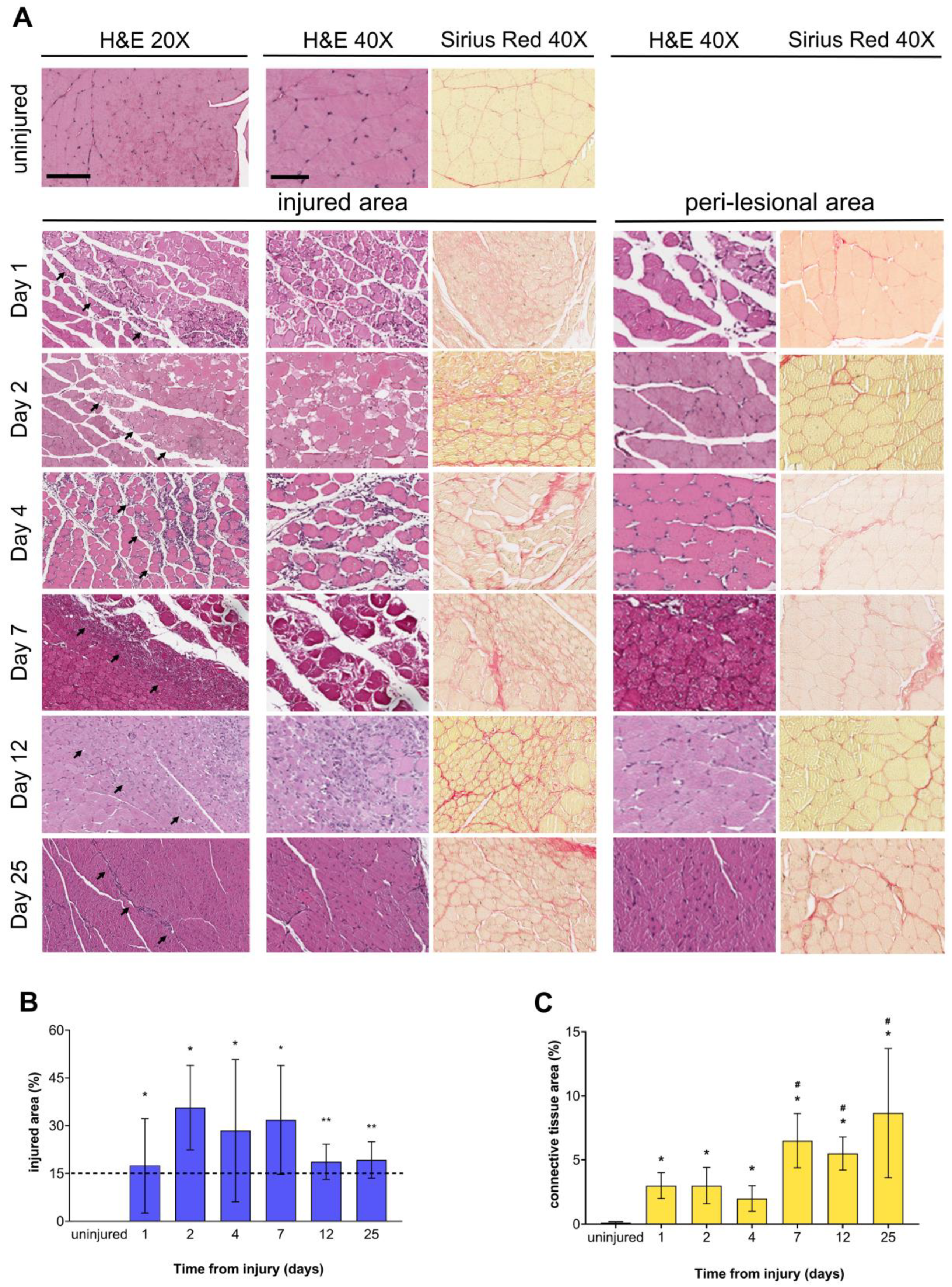 Biomedicines 12 00030 g002