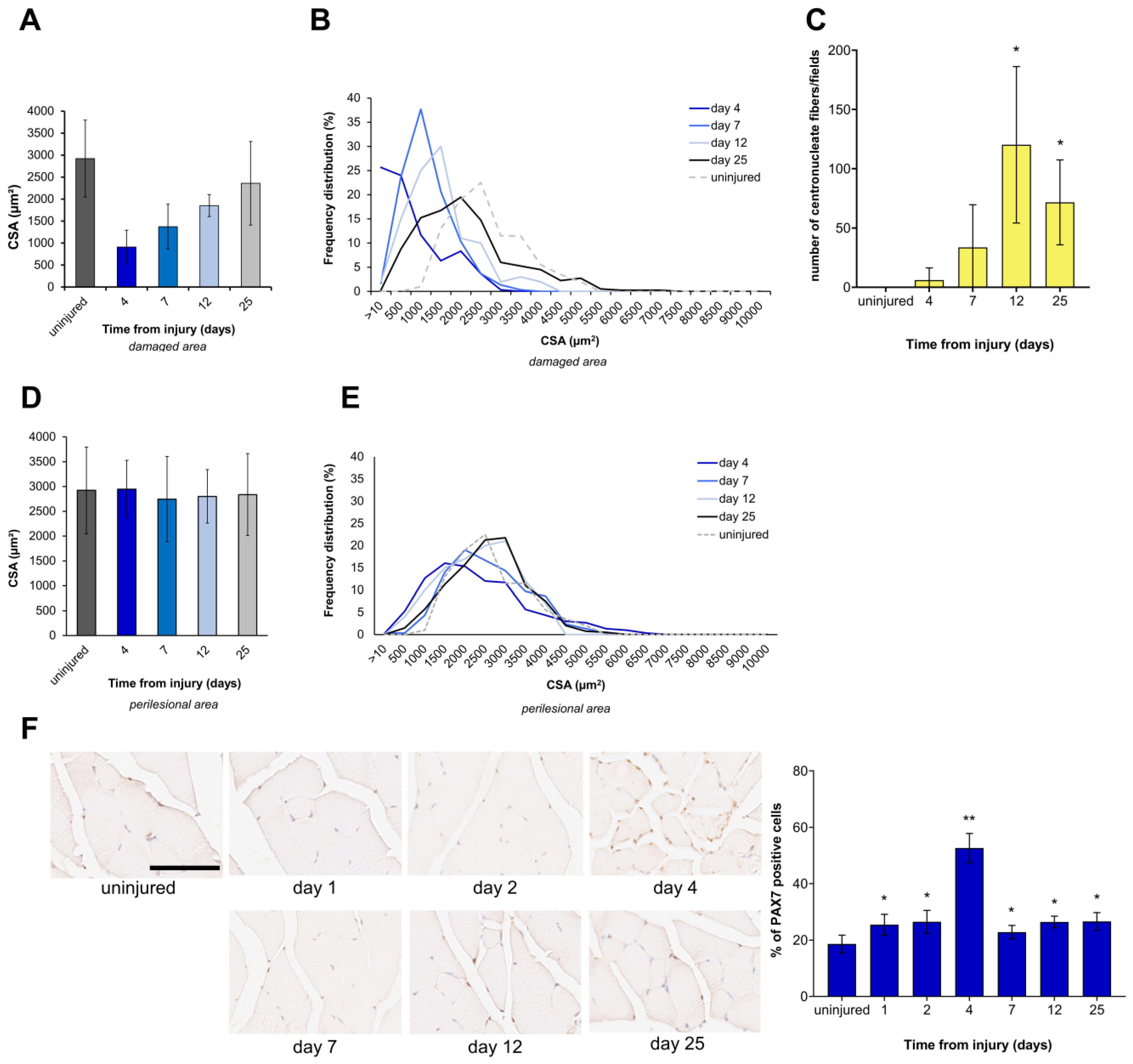 Biomedicines 12 00030 g003