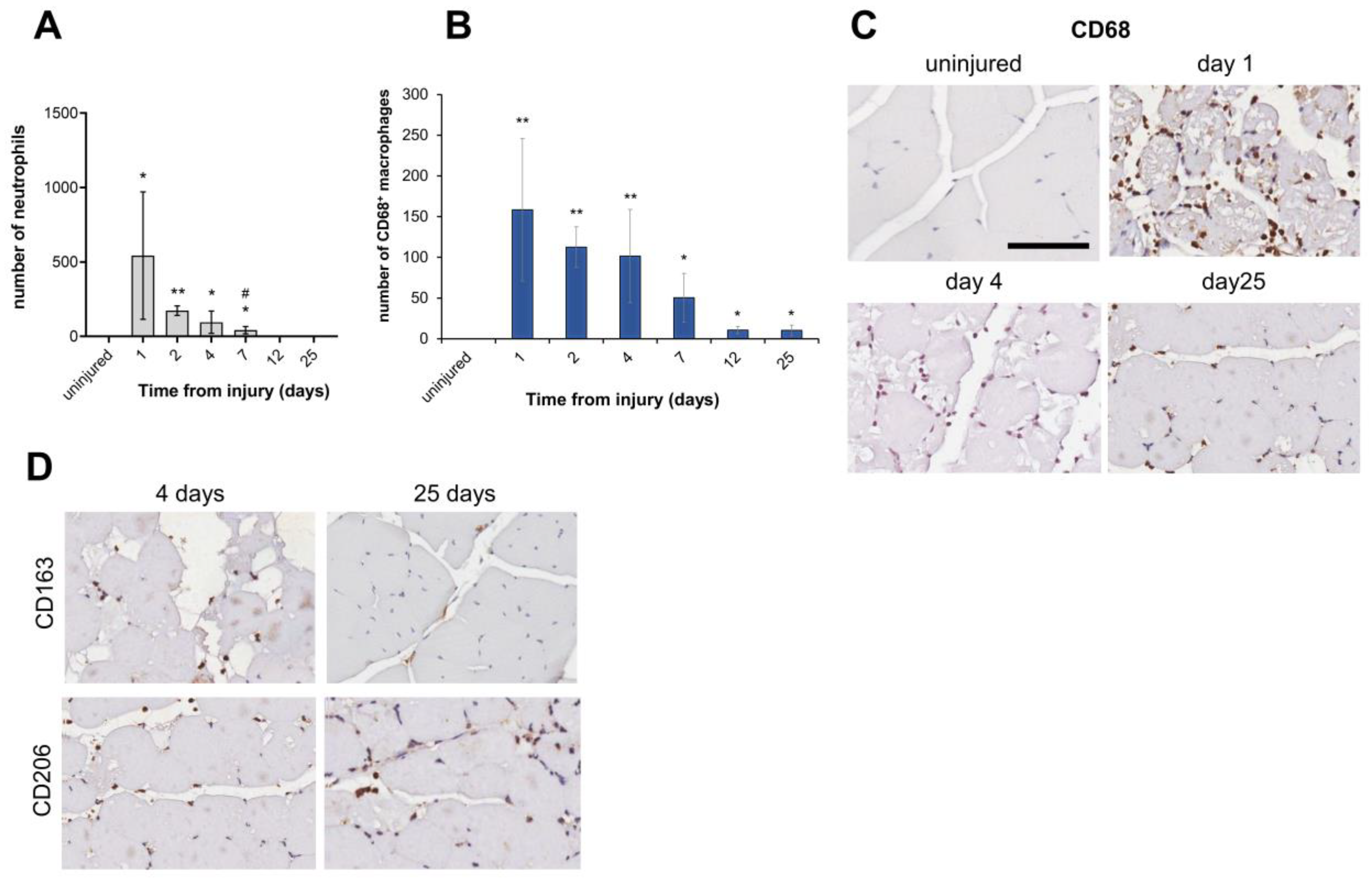 Biomedicines 12 00030 g005