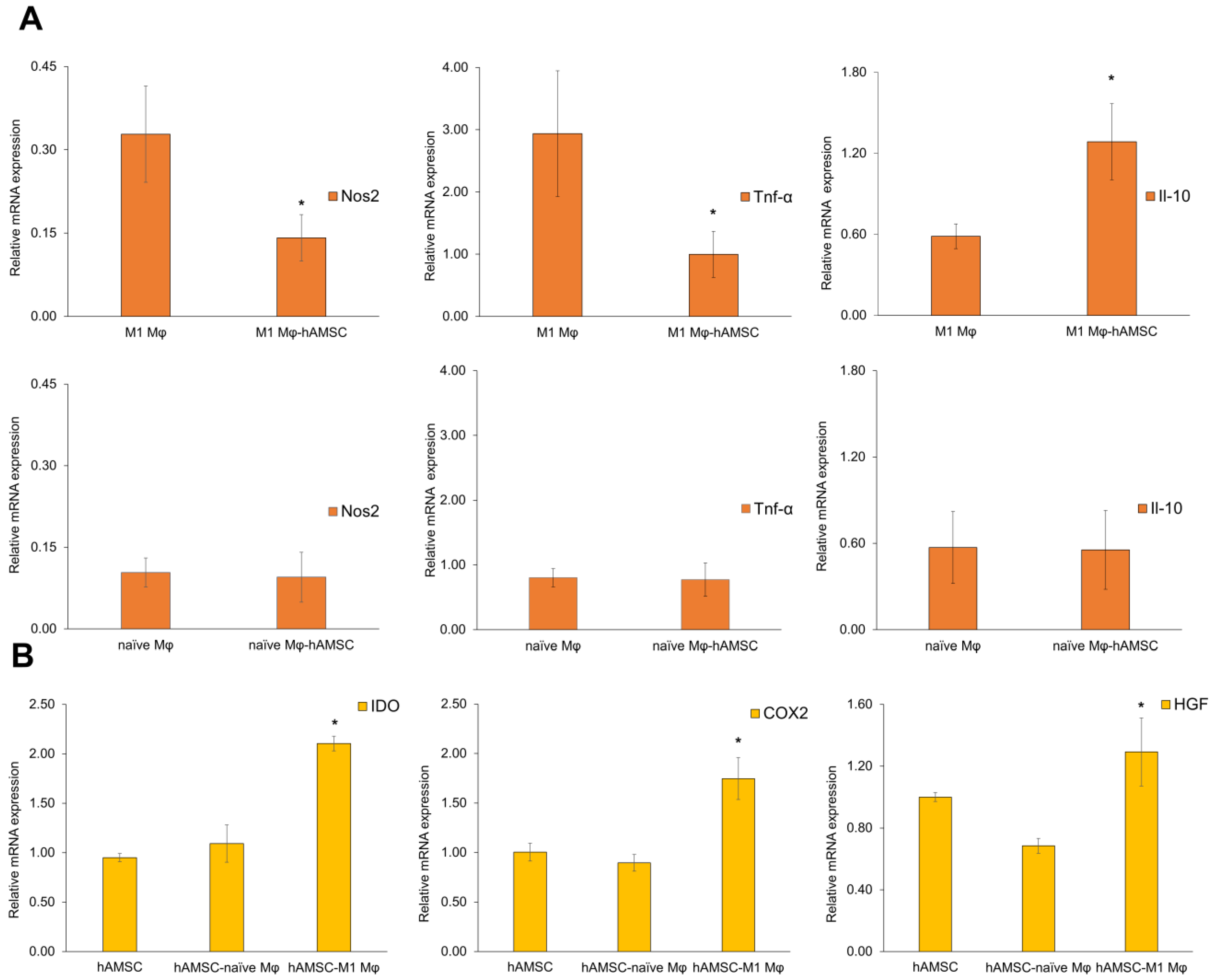 Biomedicines 12 00030 g008