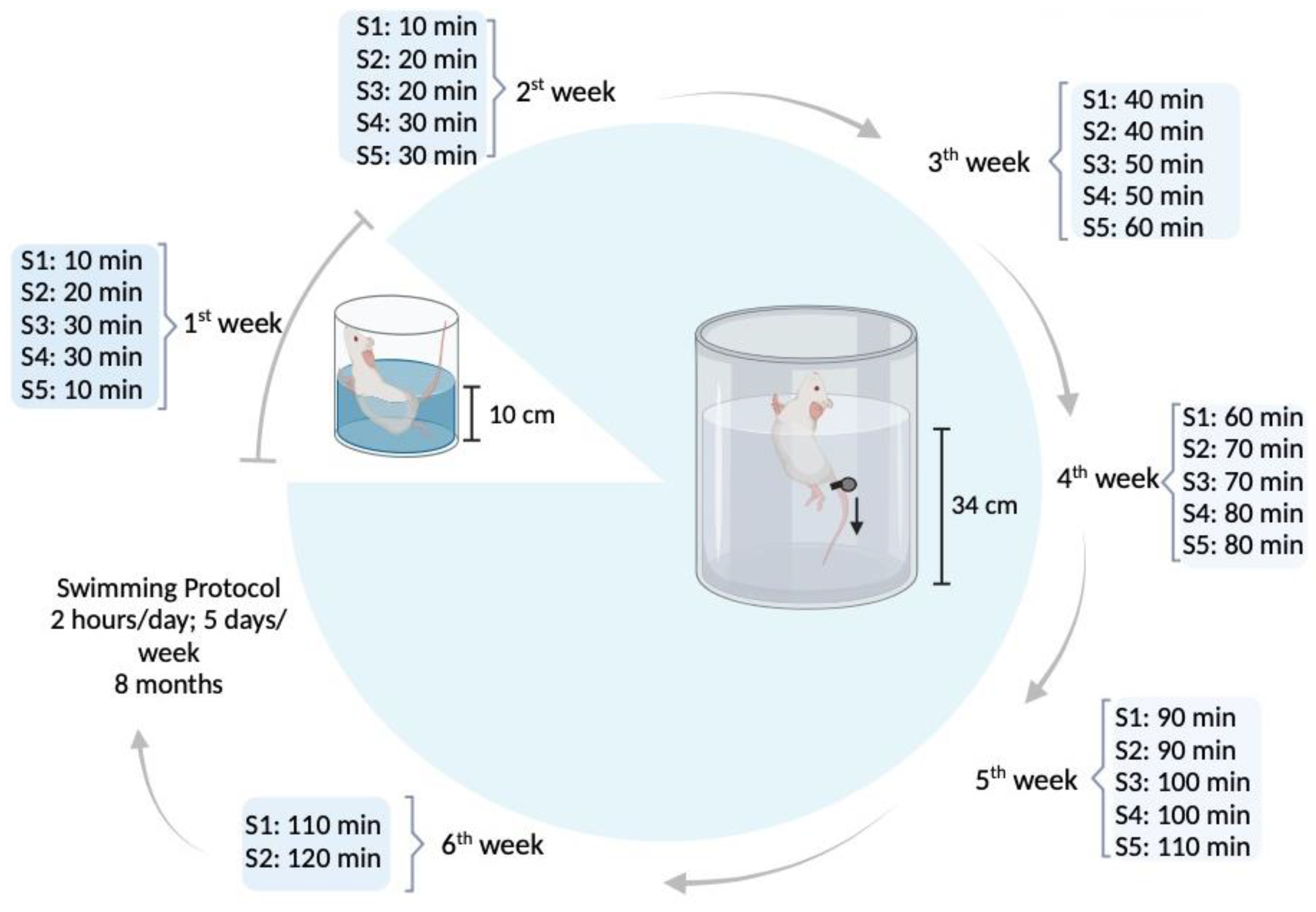 Biomedicines 12 00035 g001 Biomedicines 12 00035 g001