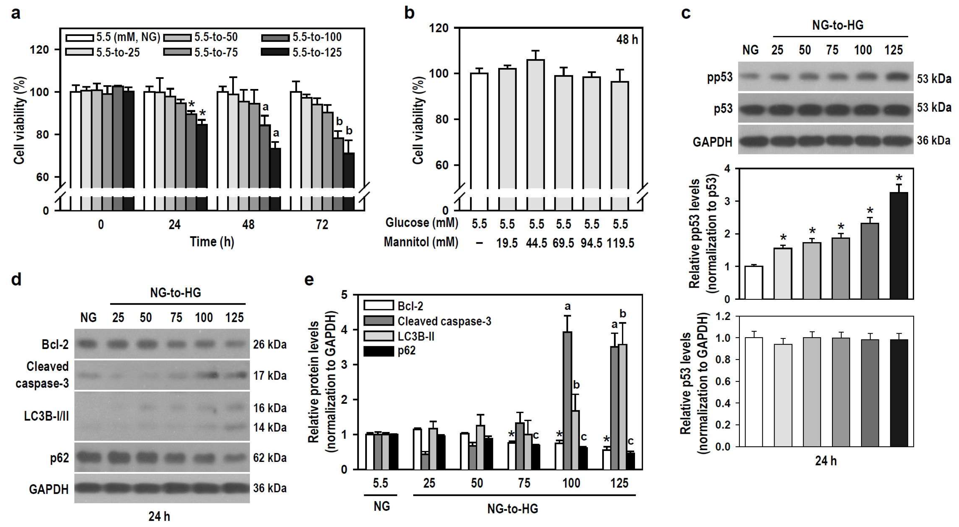 Biomedicines 12 00036 g002 Biomedicines 12 00036 g002