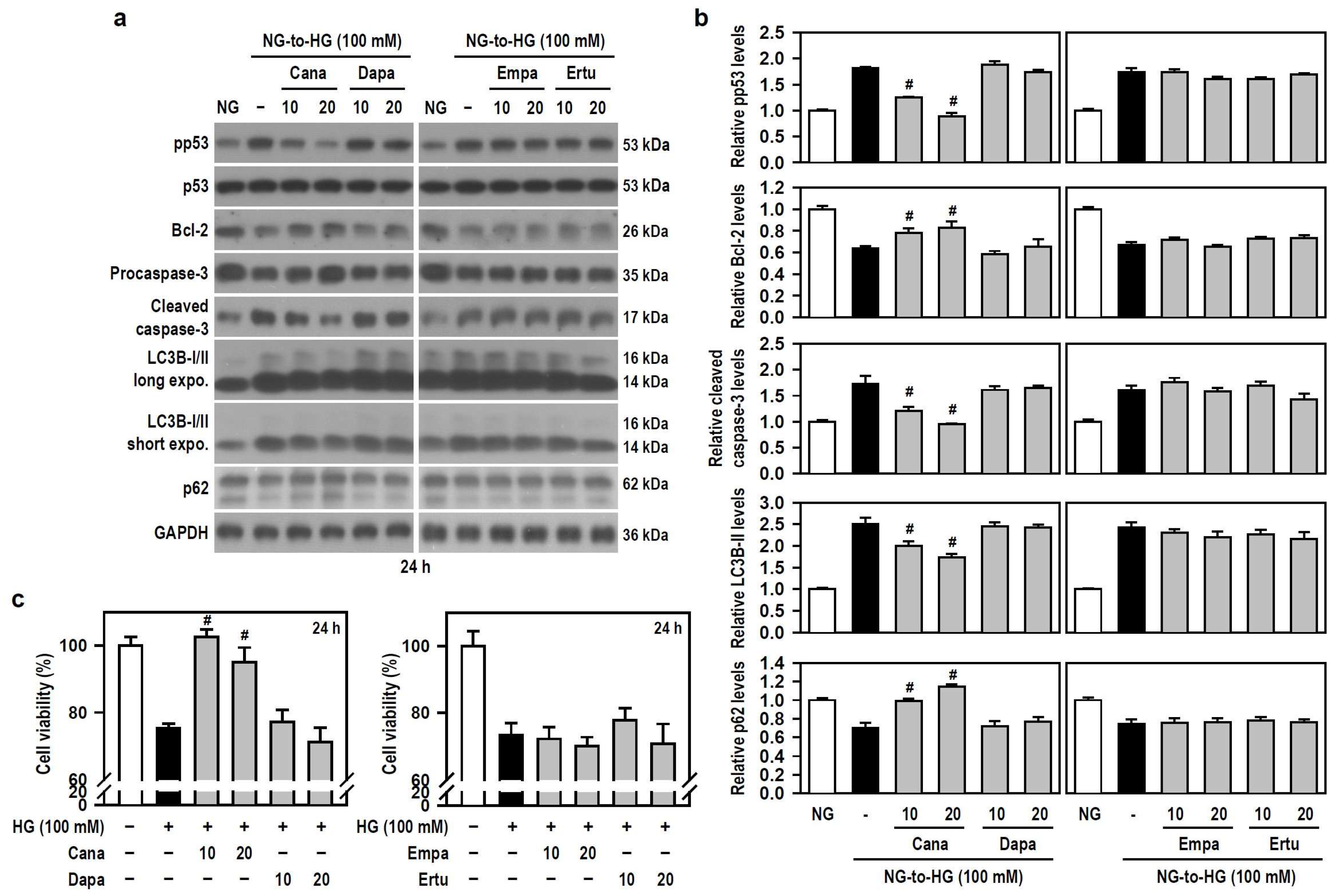 Biomedicines 12 00036 g003 Biomedicines 12 00036 g003