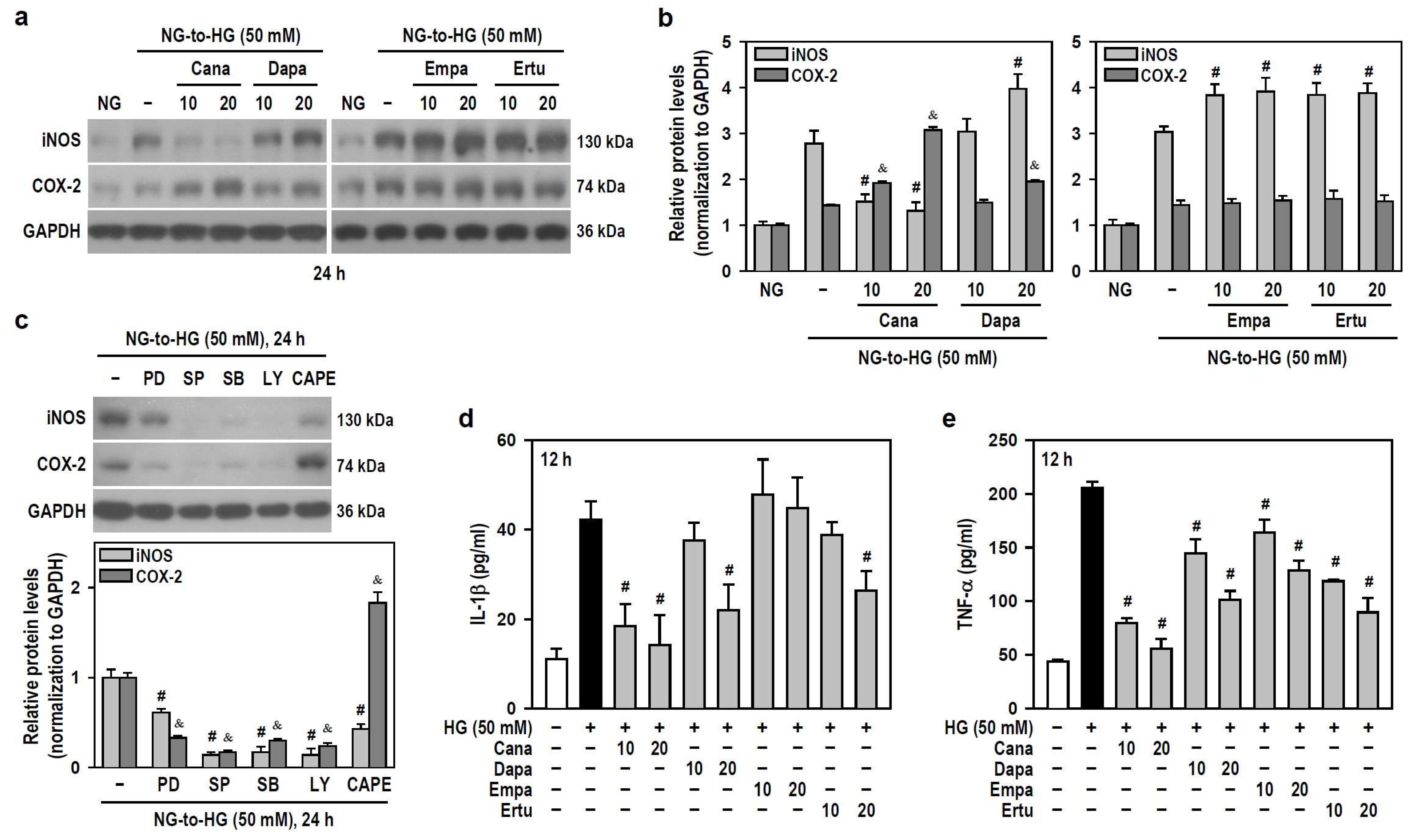 Biomedicines 12 00036 g005 Biomedicines 12 00036 g005