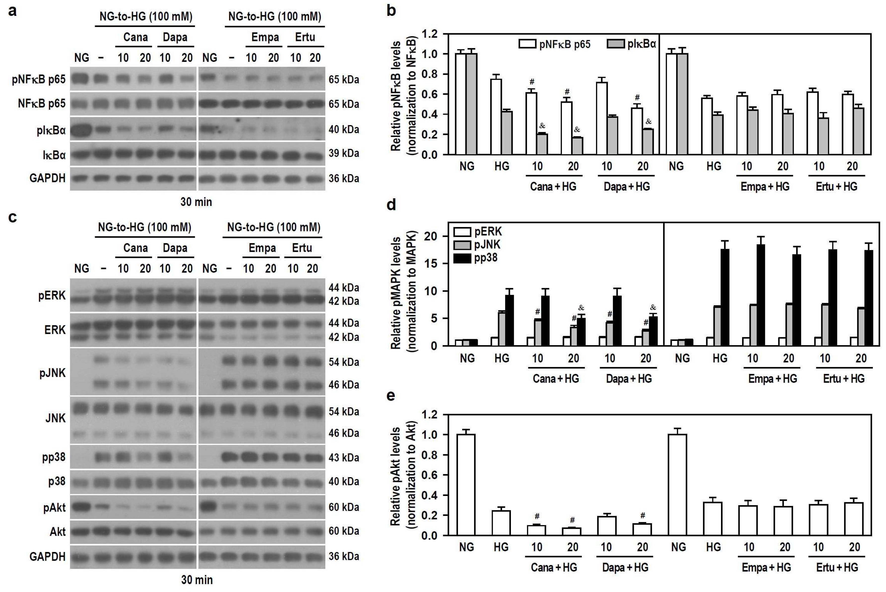 Biomedicines 12 00036 g006 Biomedicines 12 00036 g006
