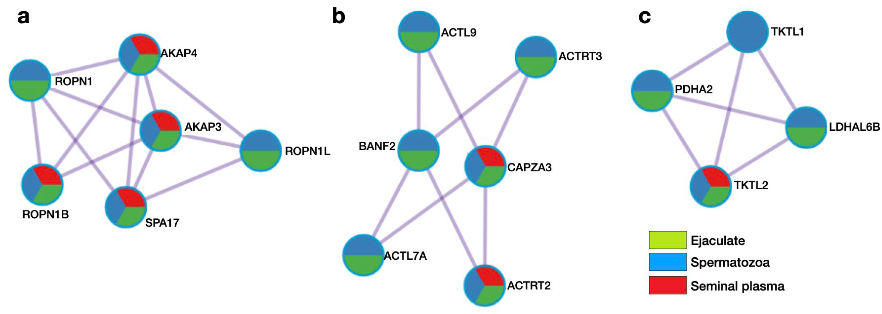 Biomedicines 12 00049 g004