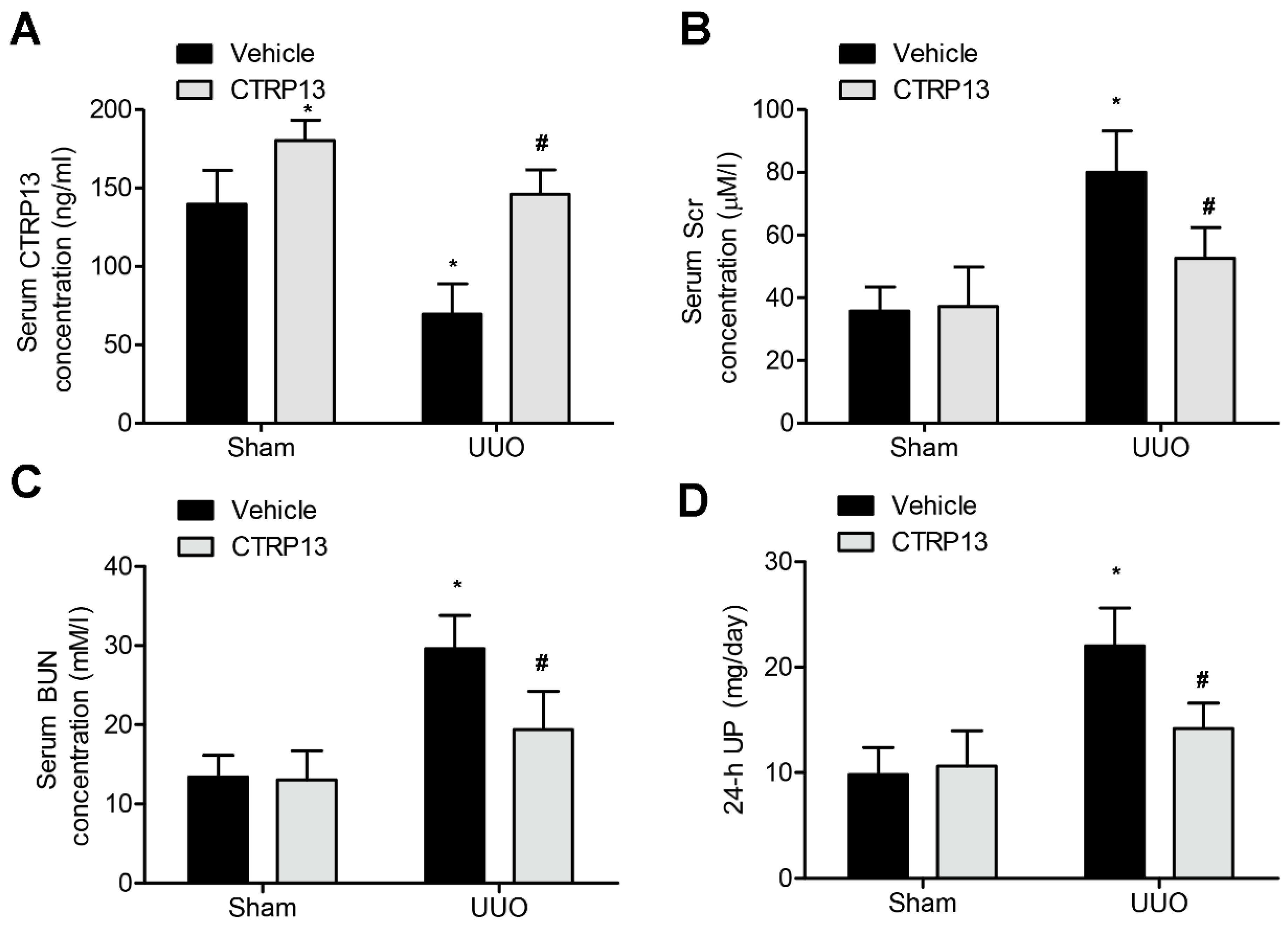 Biomedicines 12 00051 g002