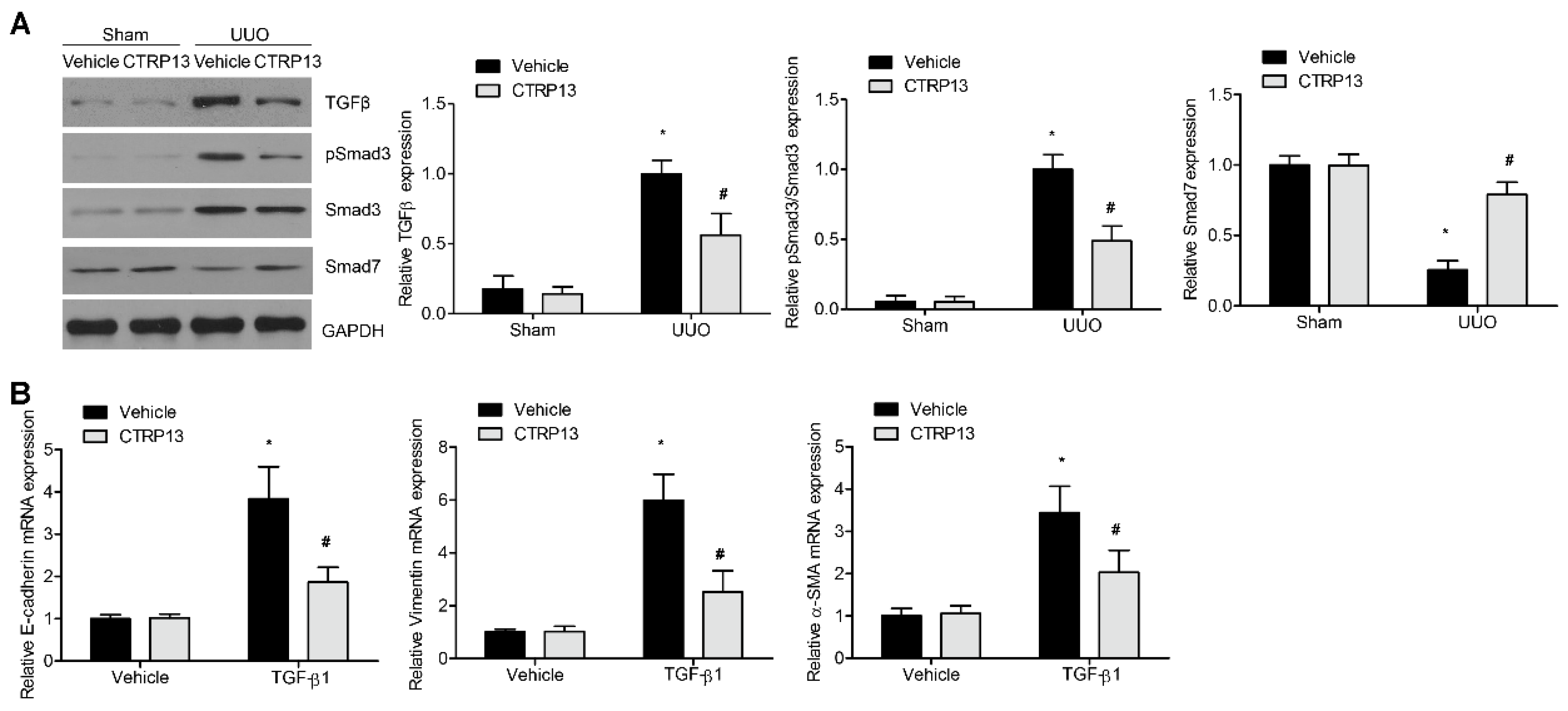 Biomedicines 12 00051 g005