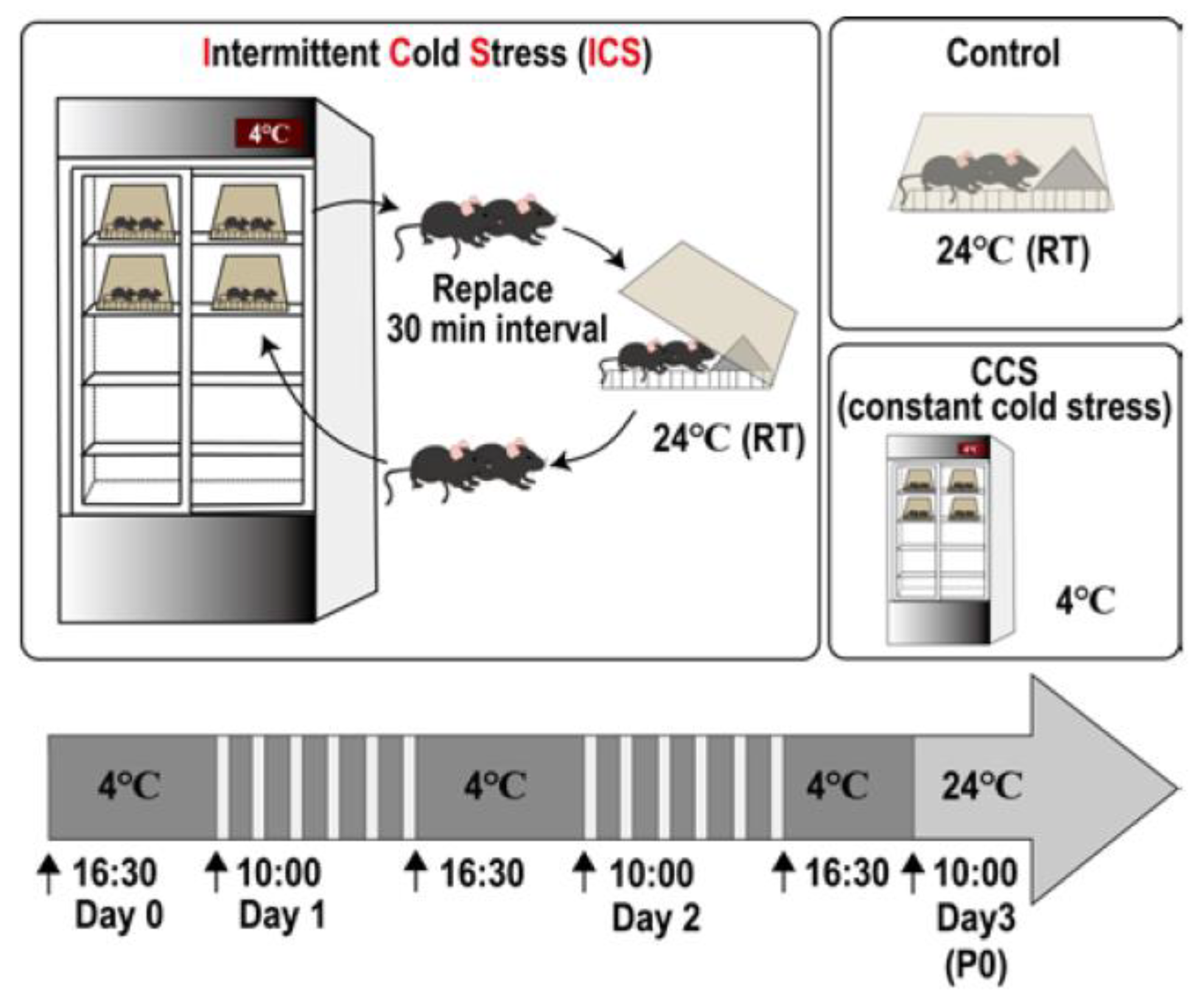 Biomedicines 12 00056 g001
