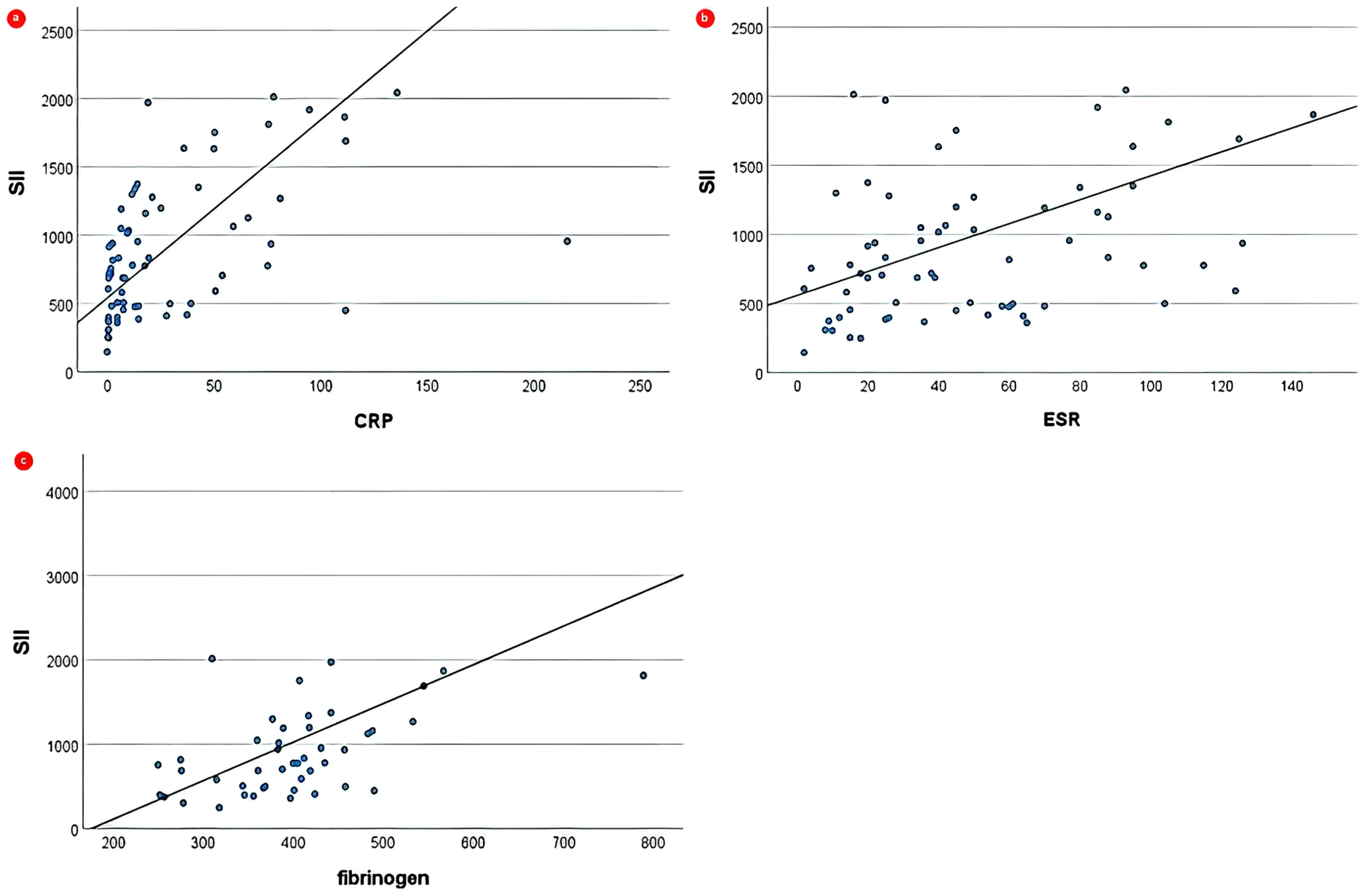Biomedicines 12 00065 g002