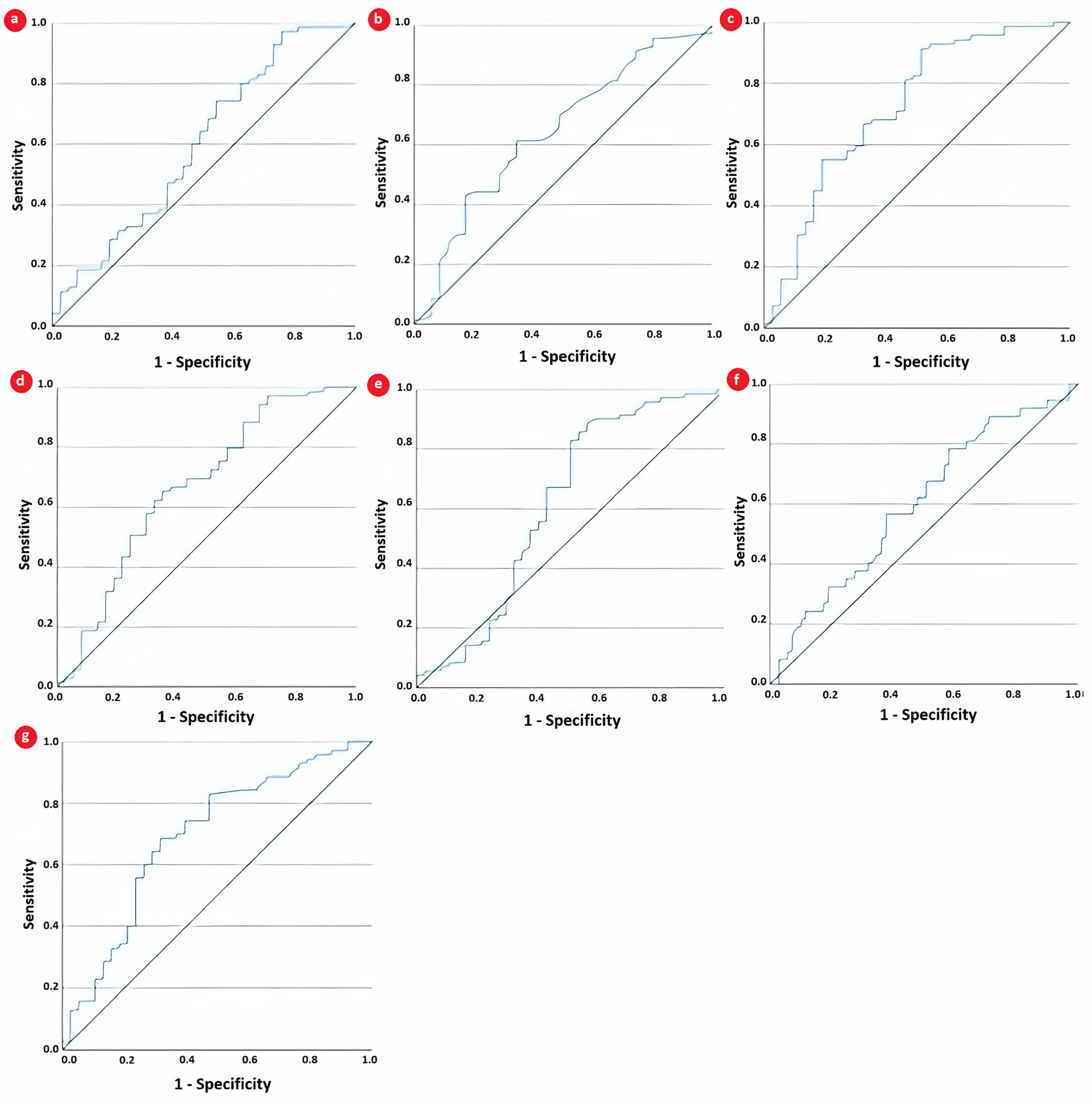 Biomedicines 12 00065 g003