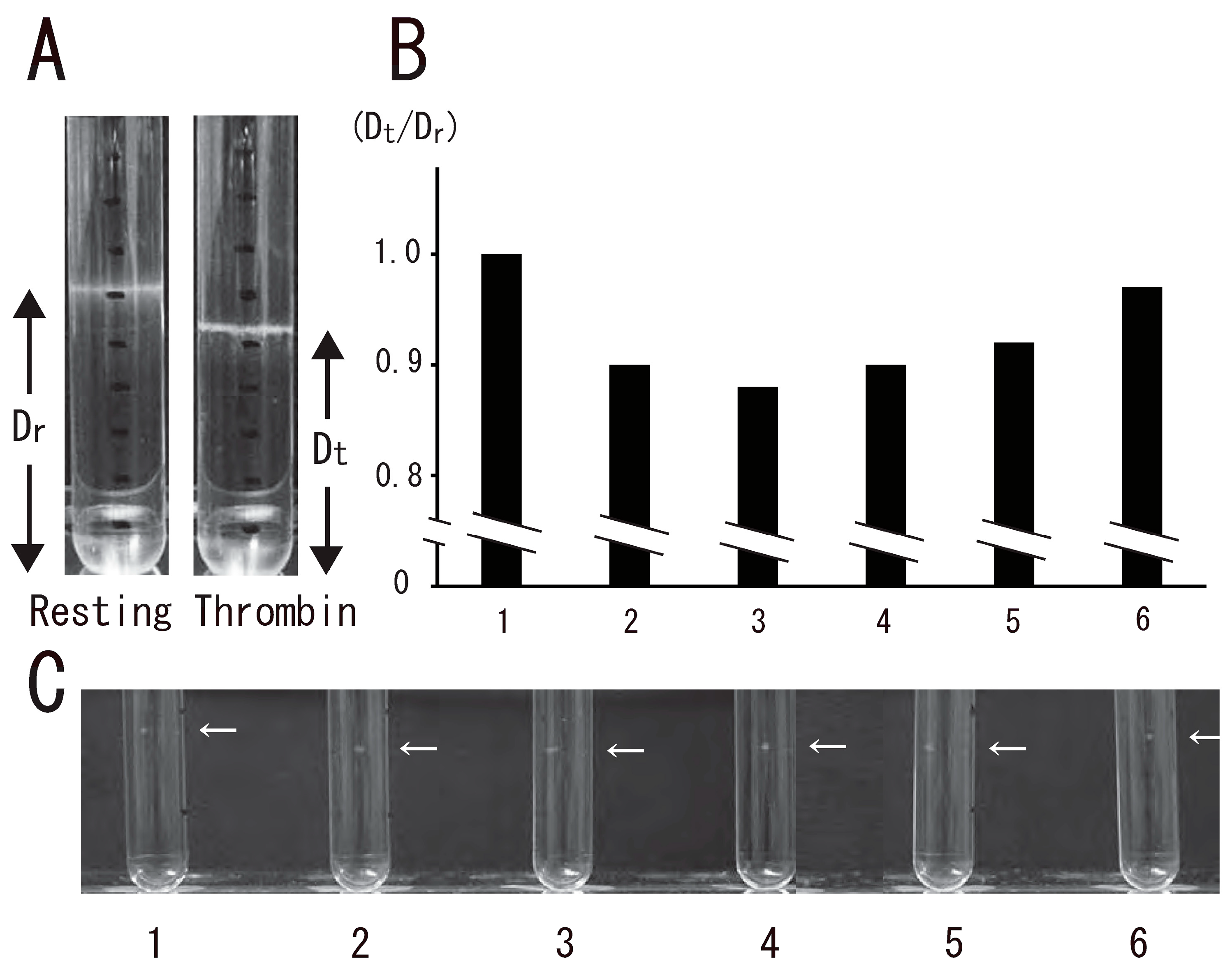 Biomedicines 12 00069 g001 Biomedicines 12 00069 g001