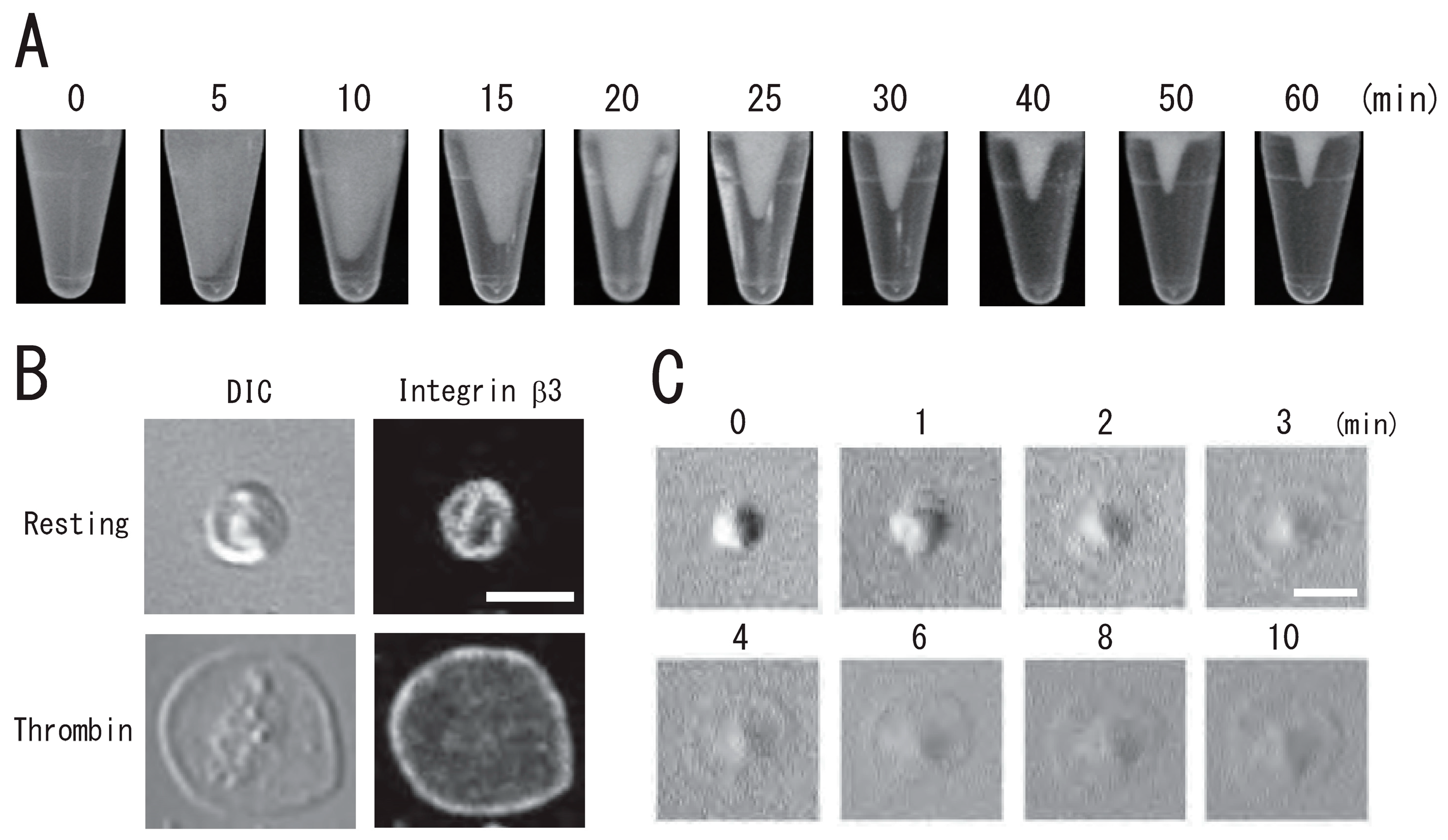 Biomedicines 12 00069 g002 Biomedicines 12 00069 g002