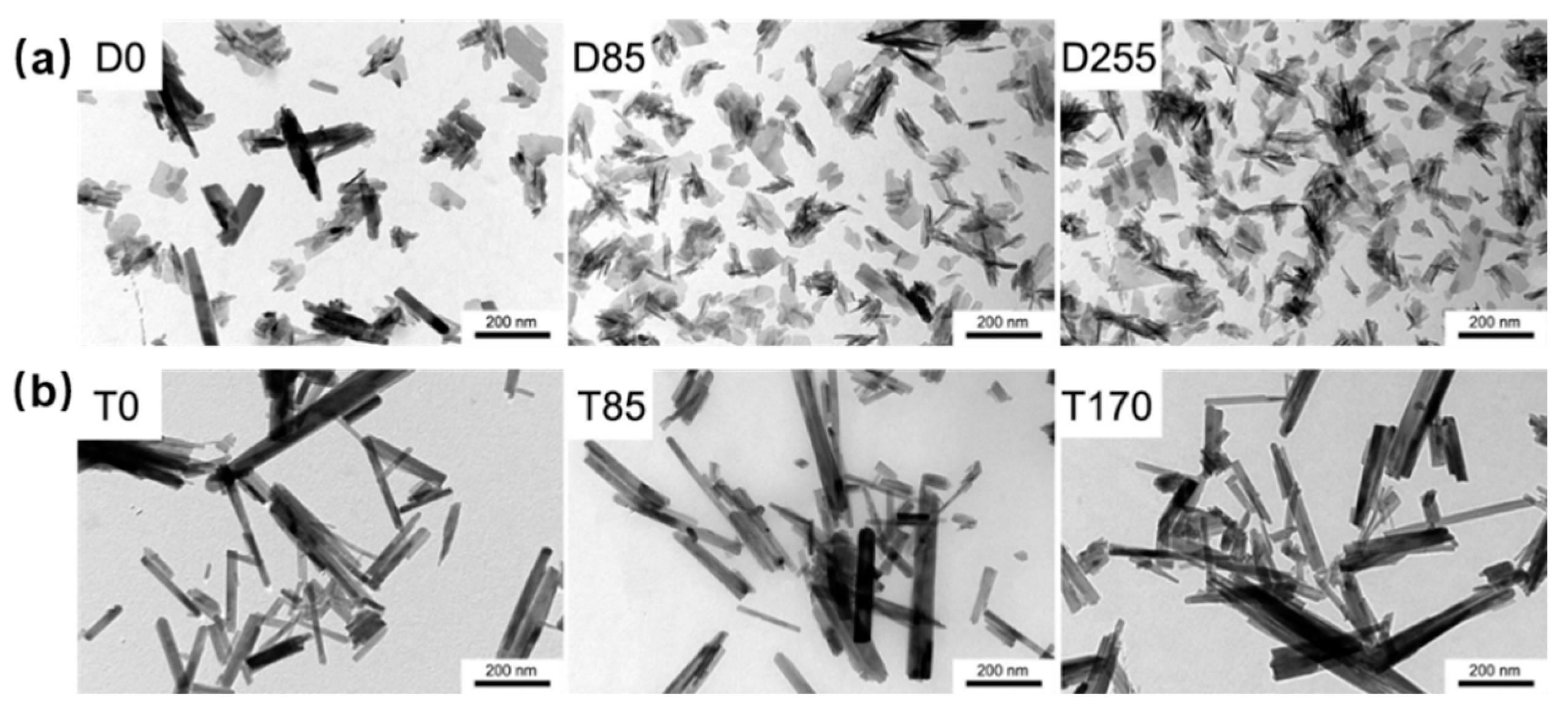 Biomedicines 12 00070 g004