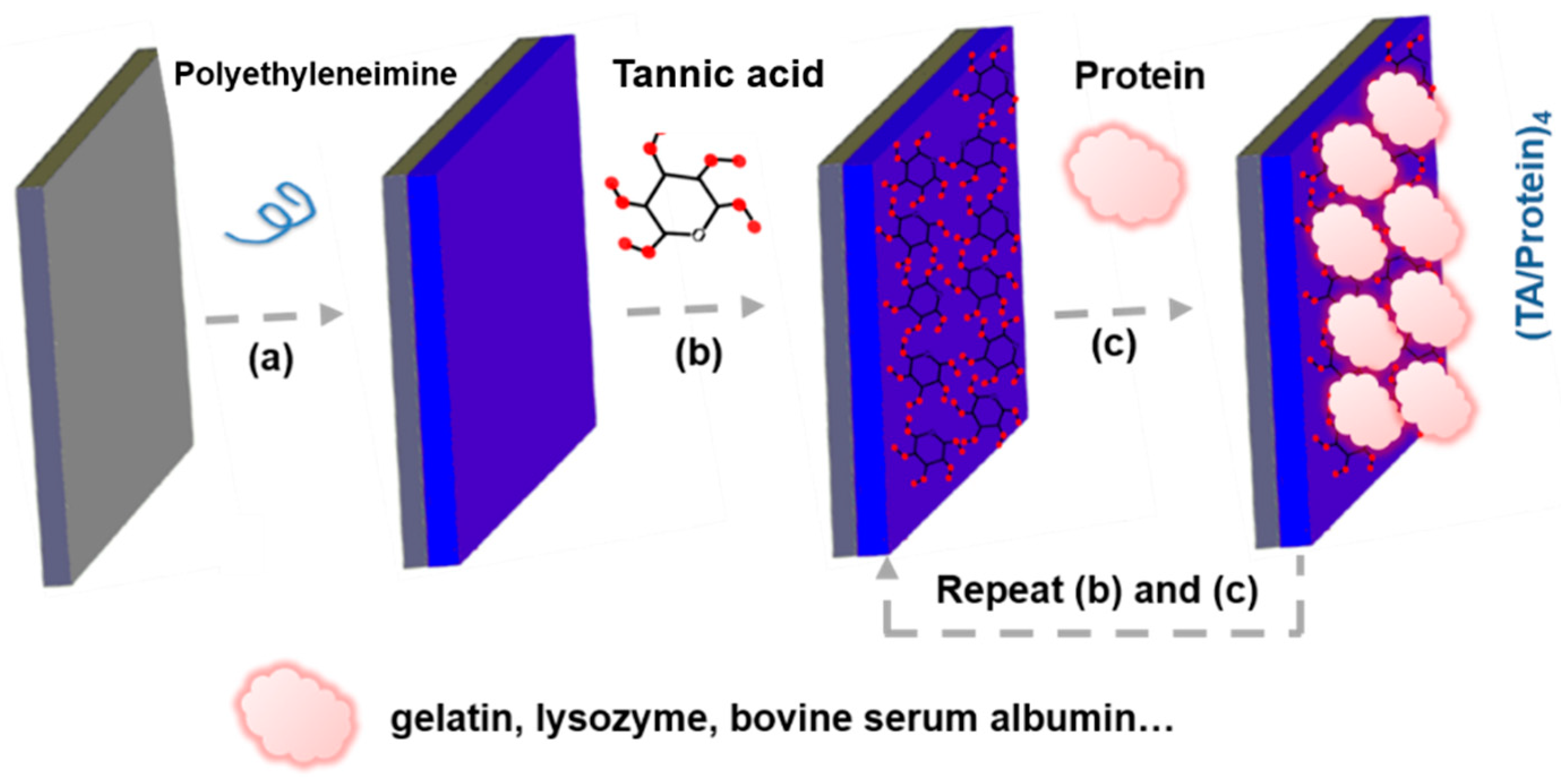 Biomedicines 12 00070 g005