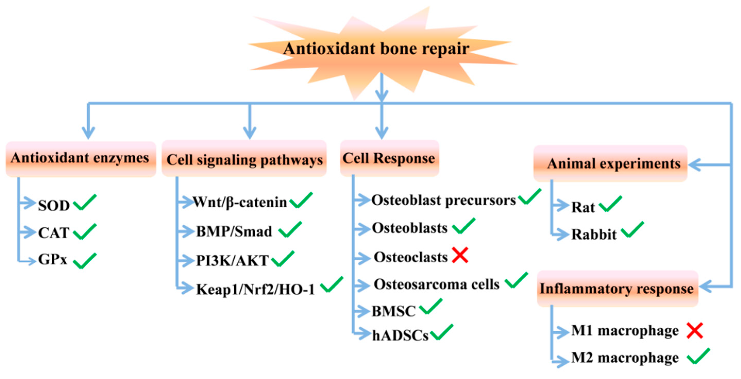Biomedicines 12 00070 g009
