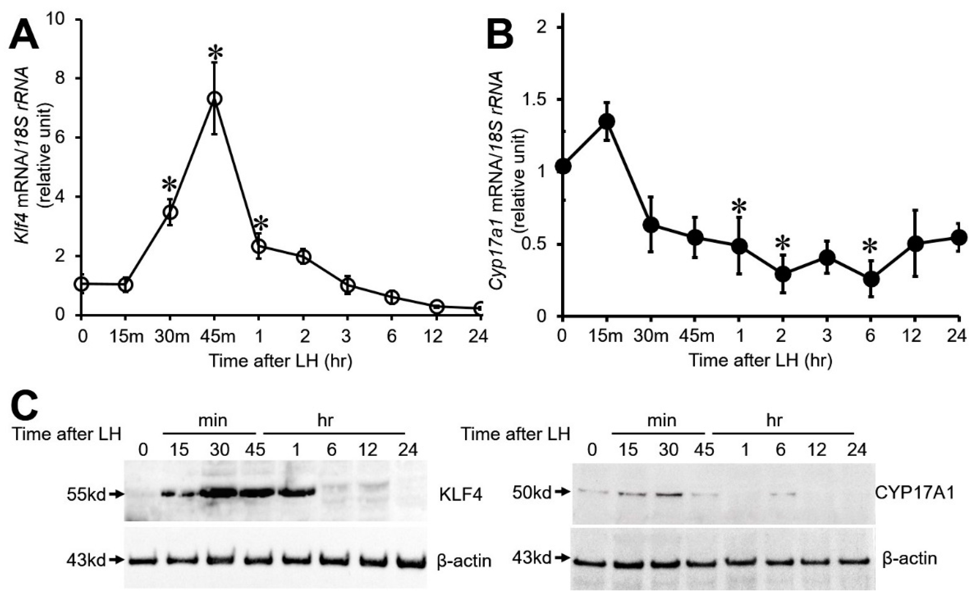 Biomedicines 12 00071 g001 Biomedicines 12 00071 g001