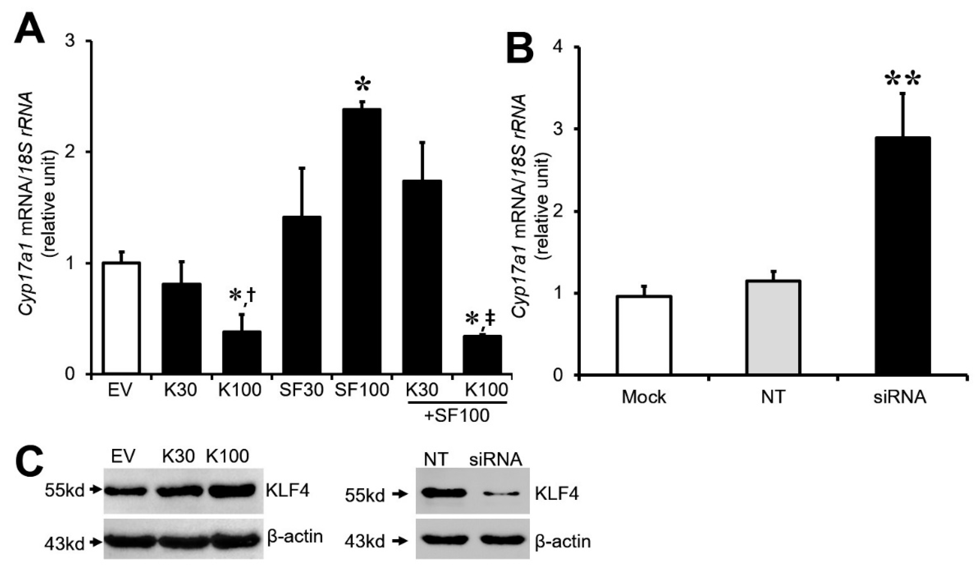 Biomedicines 12 00071 g002 Biomedicines 12 00071 g002