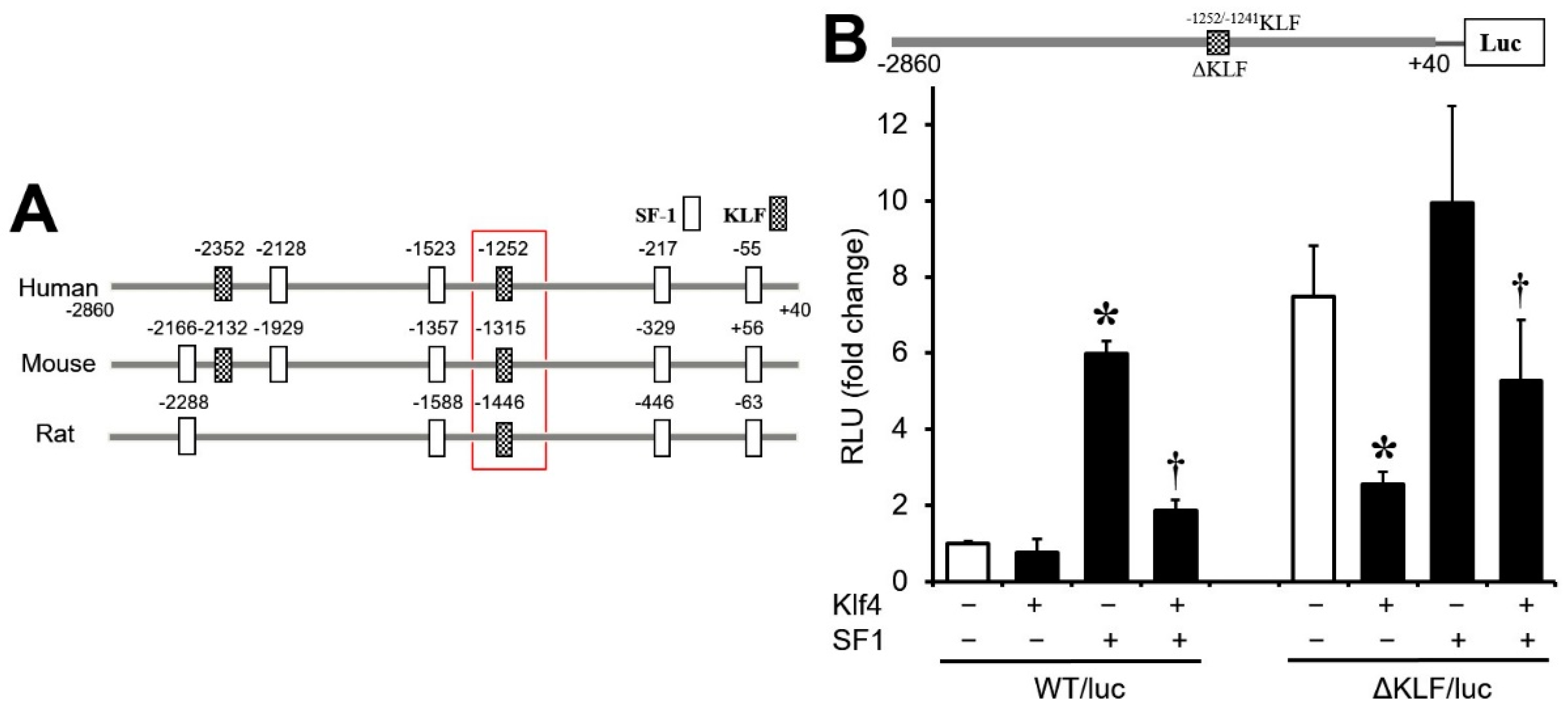 Biomedicines 12 00071 g005 Biomedicines 12 00071 g005