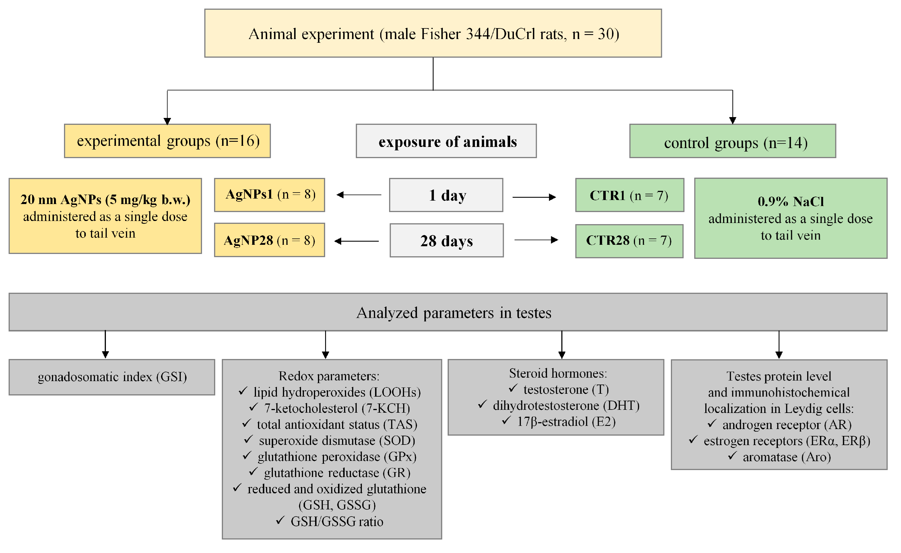 Biomedicines 12 00073 g001