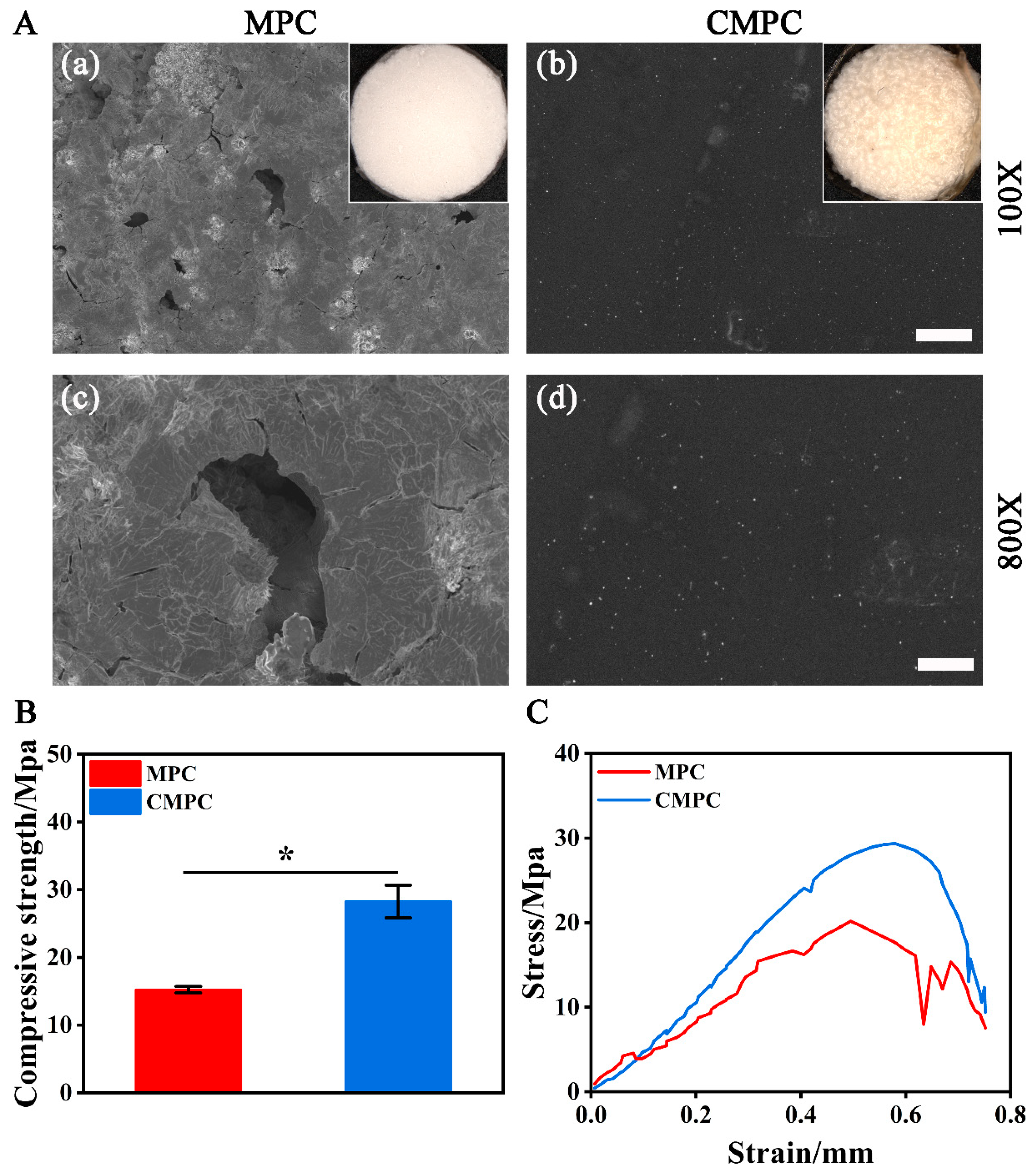 Biomedicines 12 00074 g001