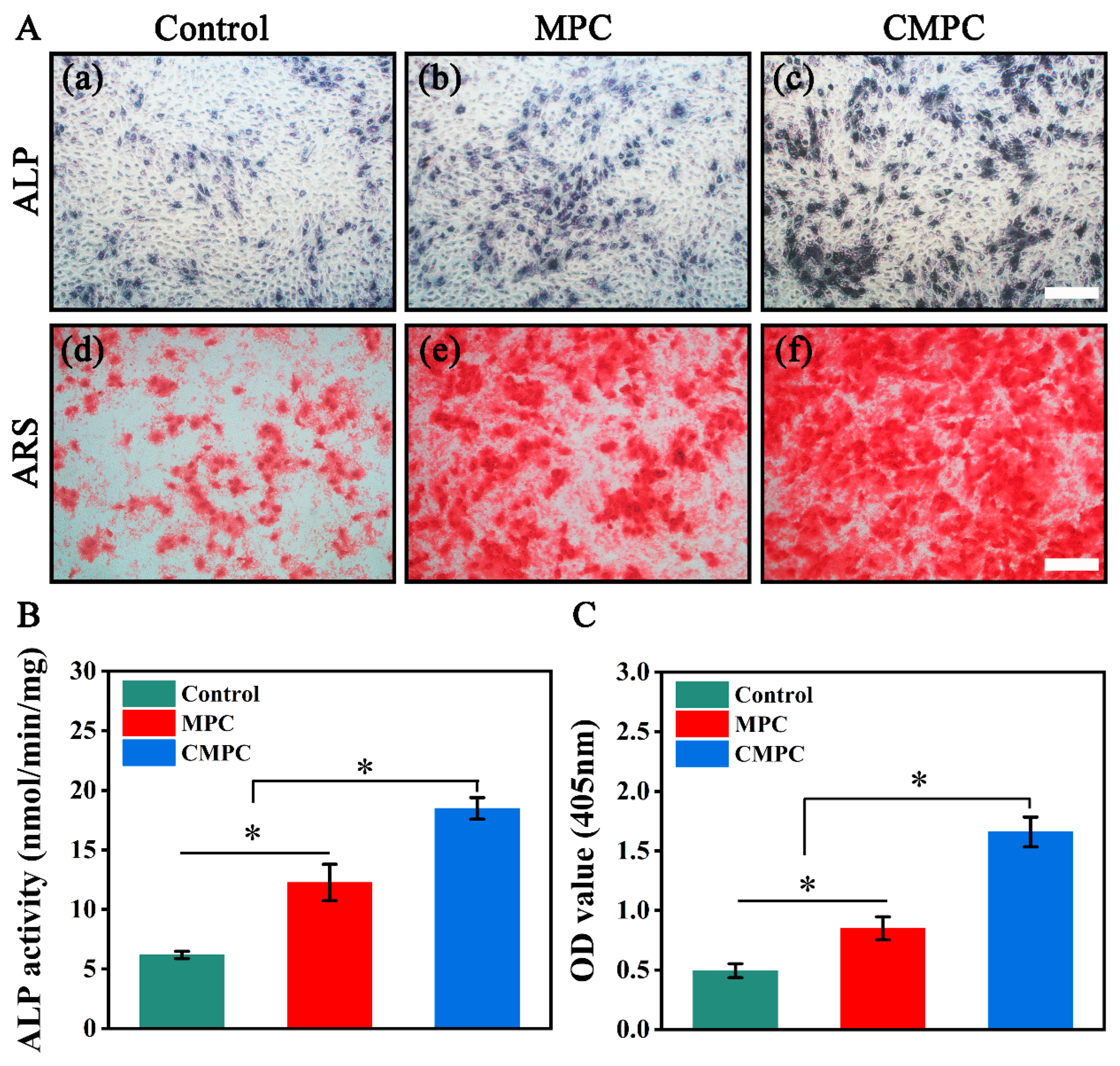 Biomedicines 12 00074 g004