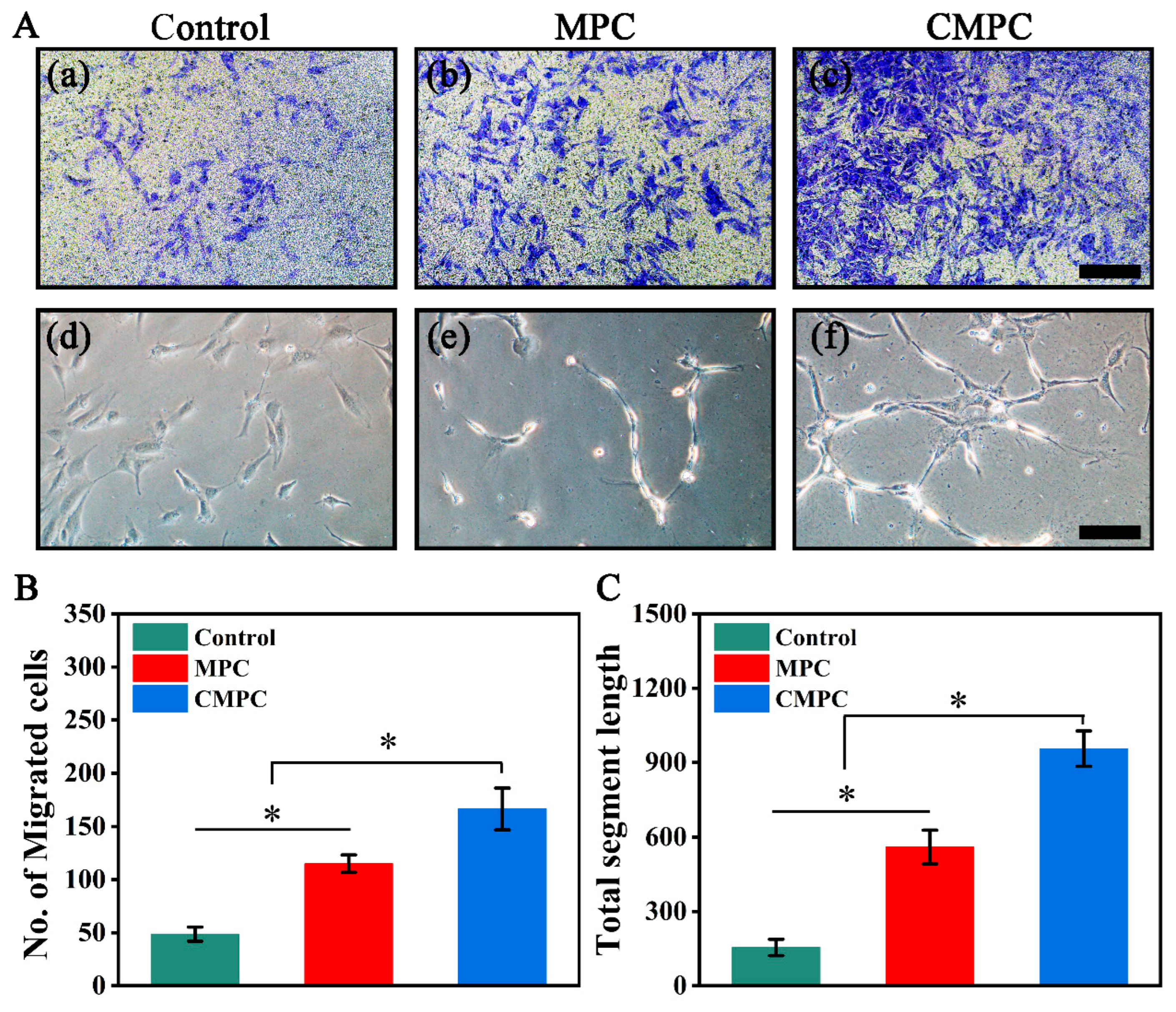 Biomedicines 12 00074 g006