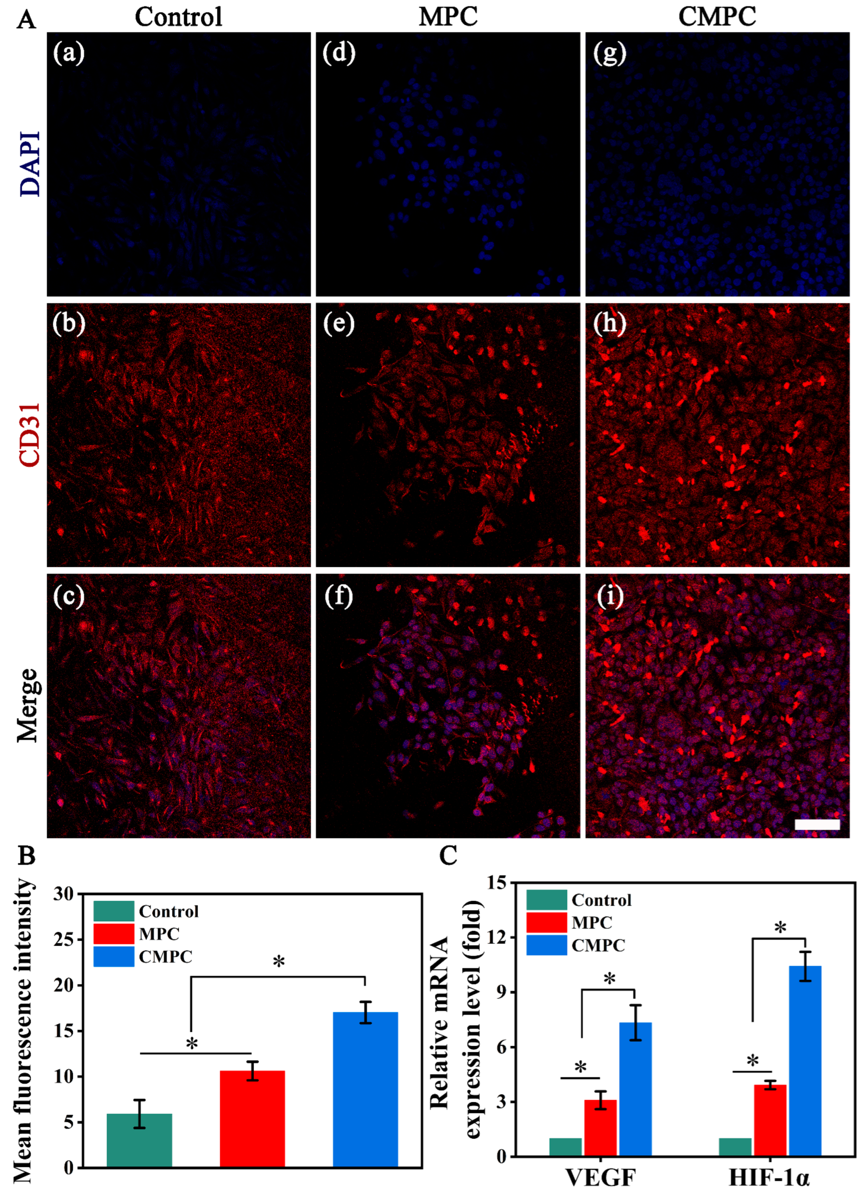 Biomedicines 12 00074 g007