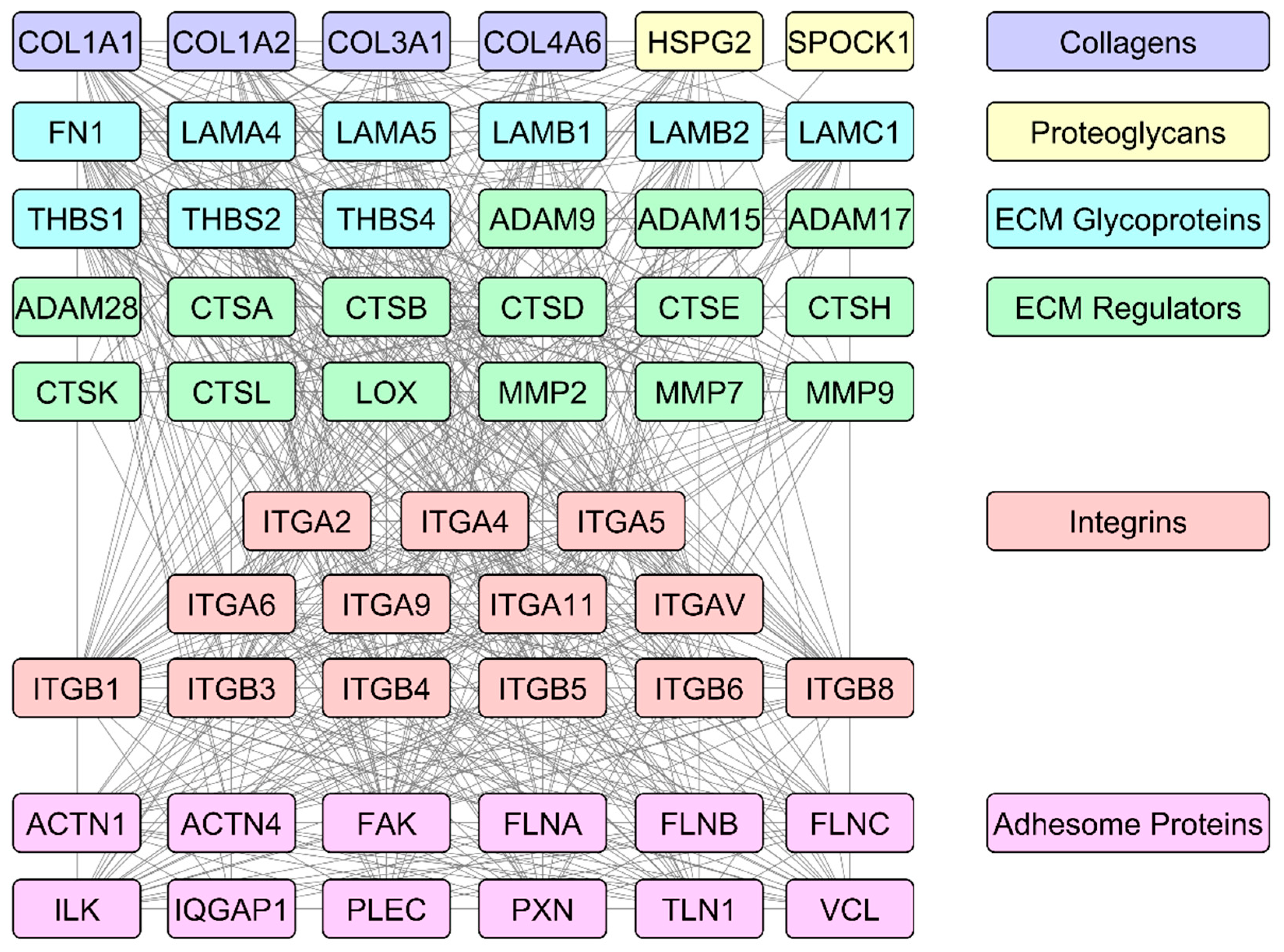 Biomedicines 12 00079 g001