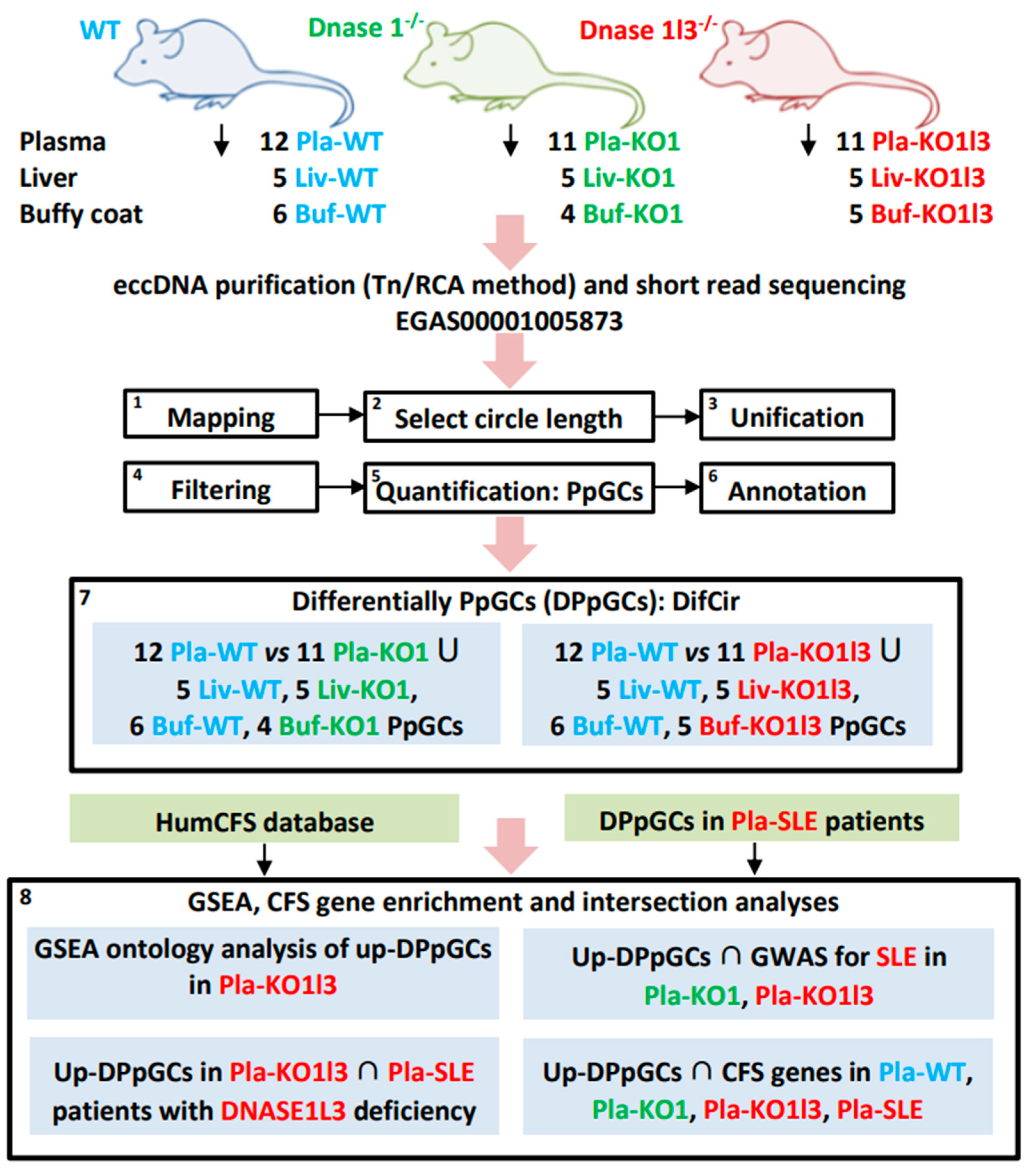 Biomedicines 12 00080 g001