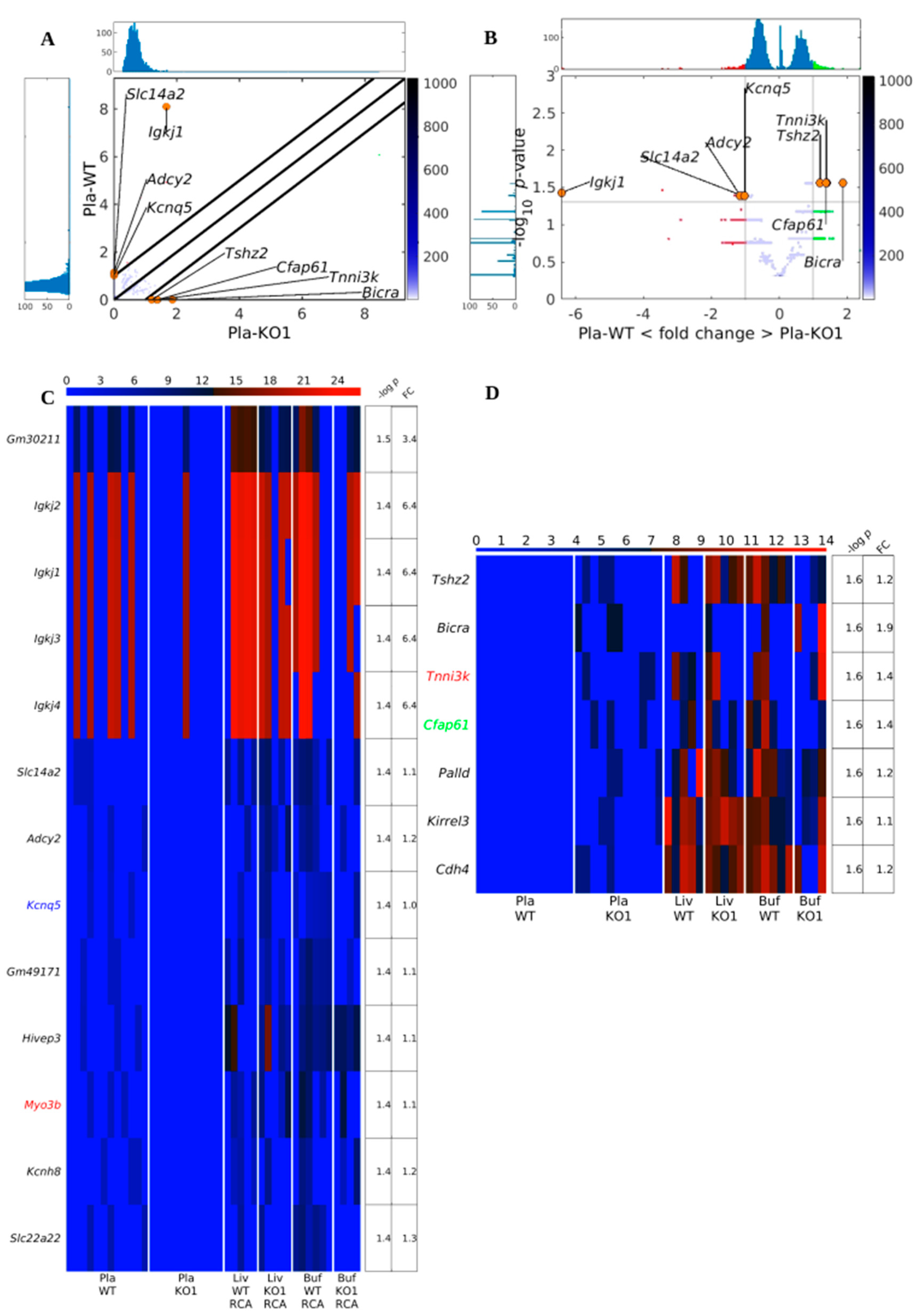 Biomedicines 12 00080 g003