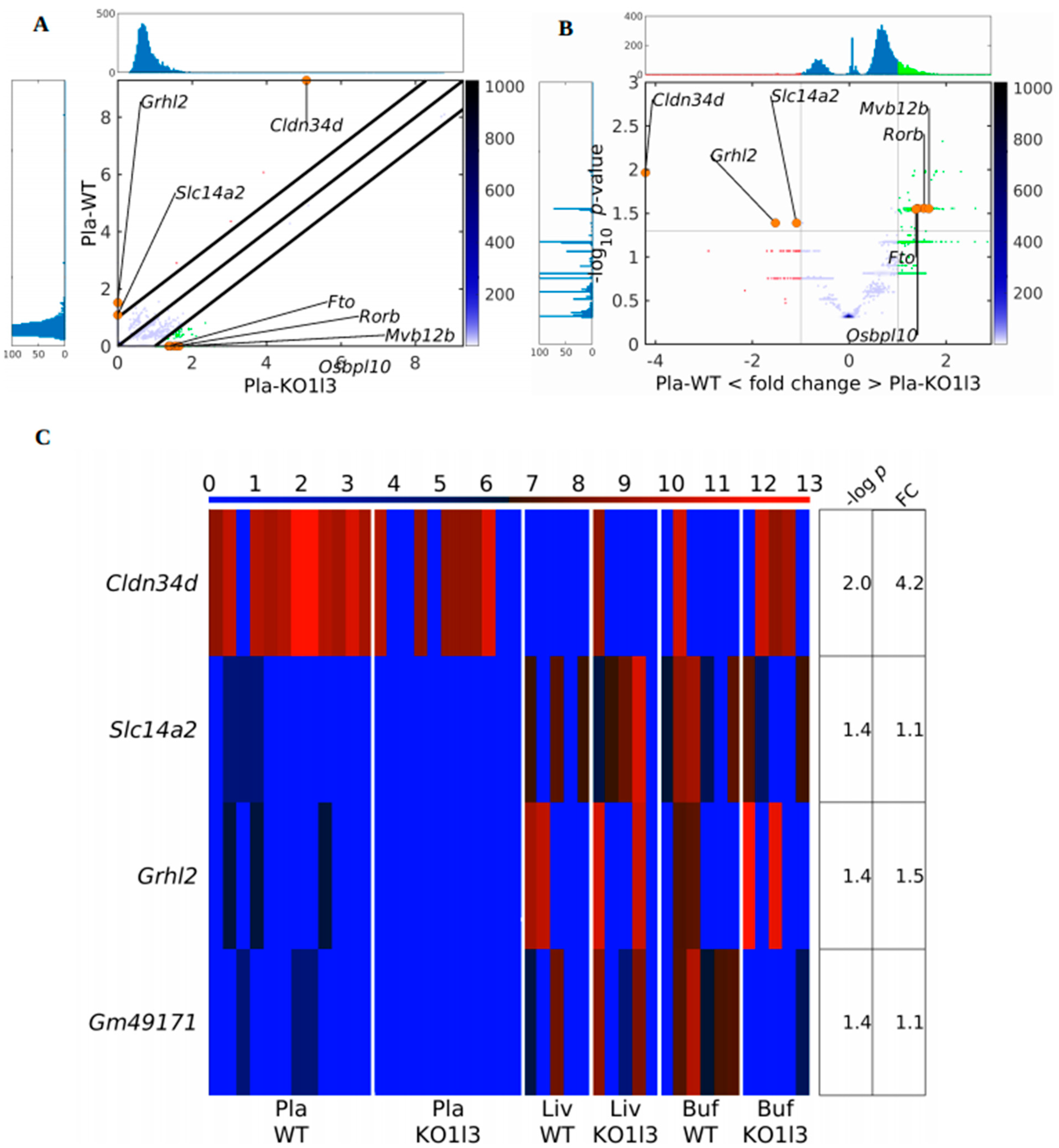 Biomedicines 12 00080 g004