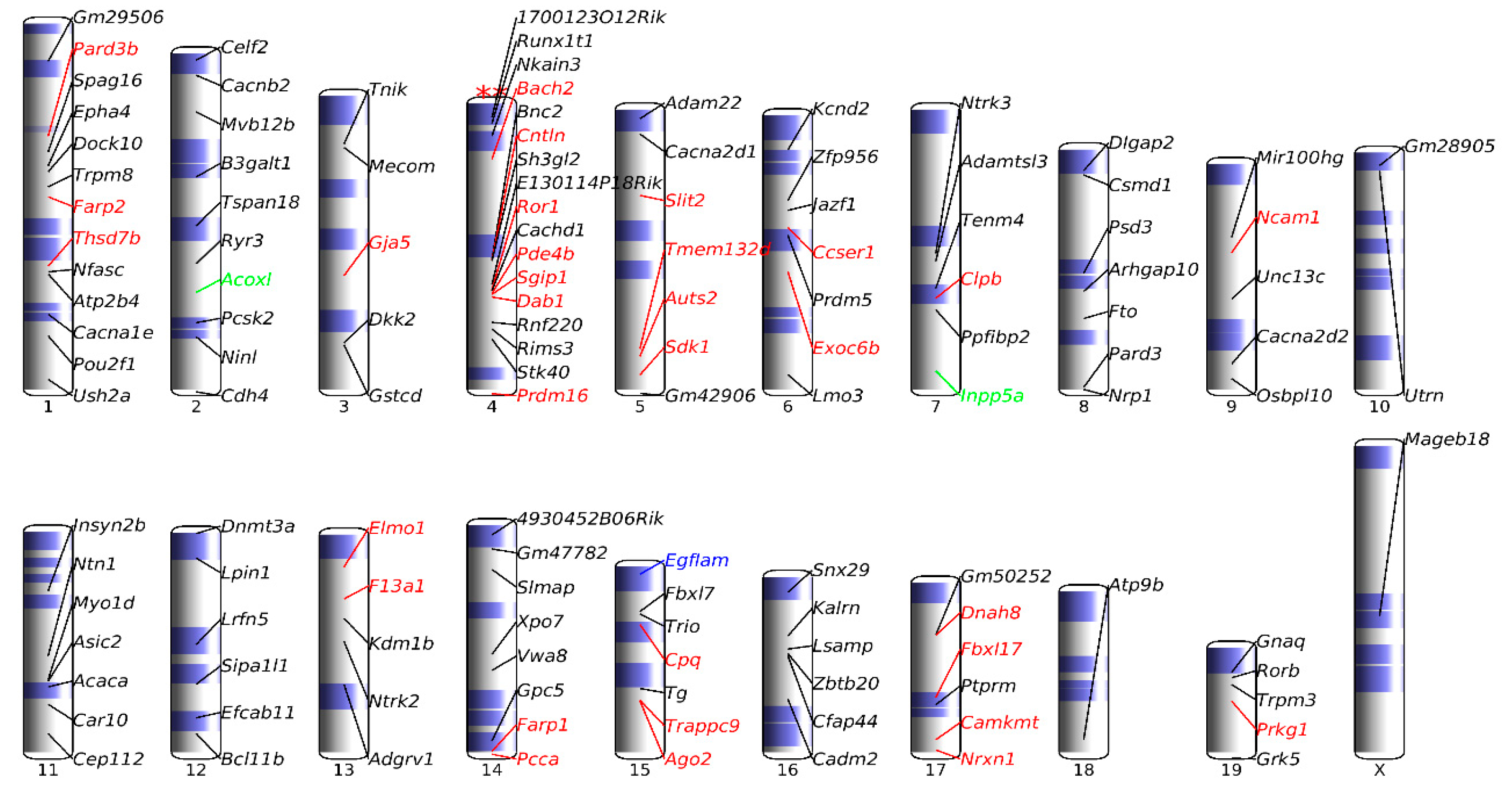 Biomedicines 12 00080 g006