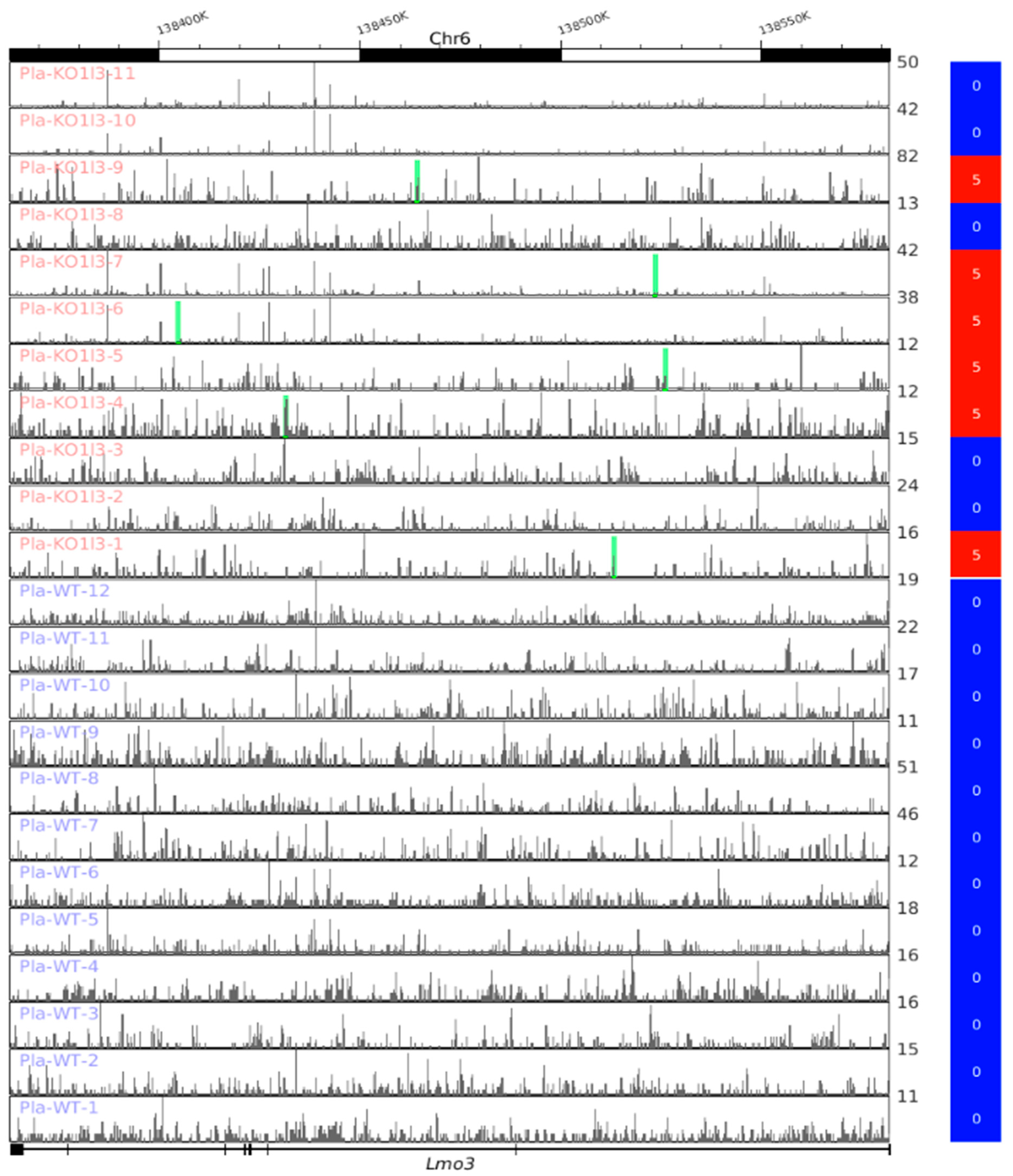Biomedicines 12 00080 g007