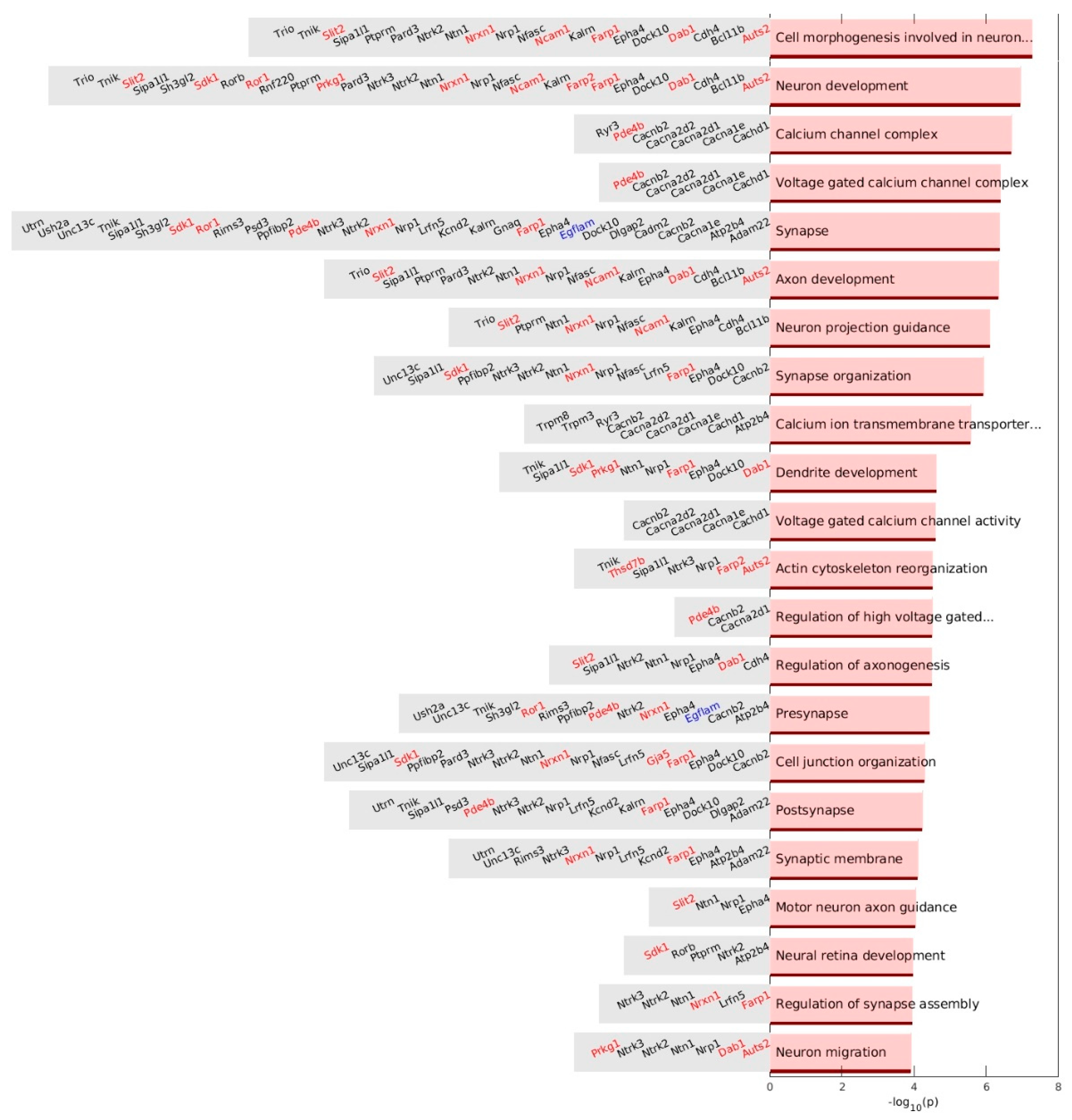 Biomedicines 12 00080 g008