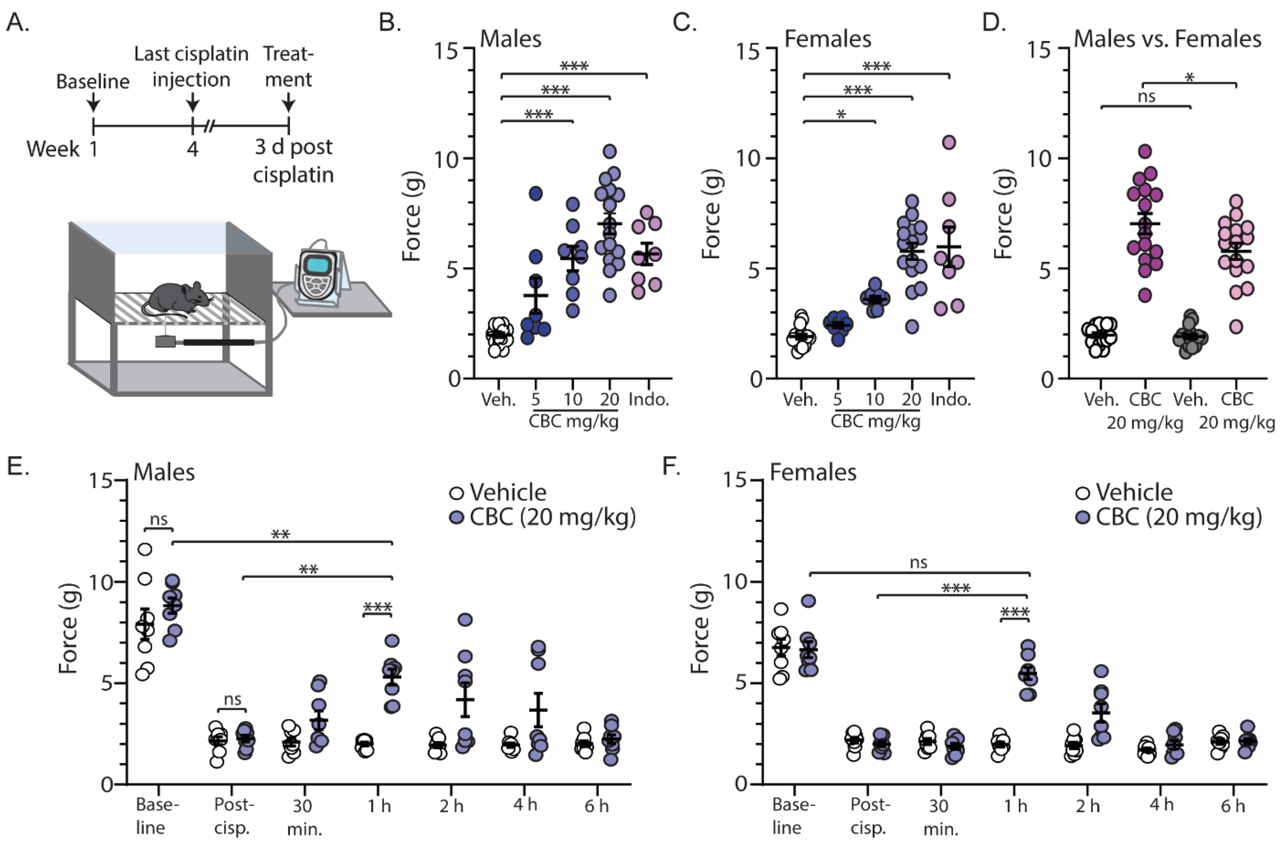 Biomedicines 12 00083 g002
