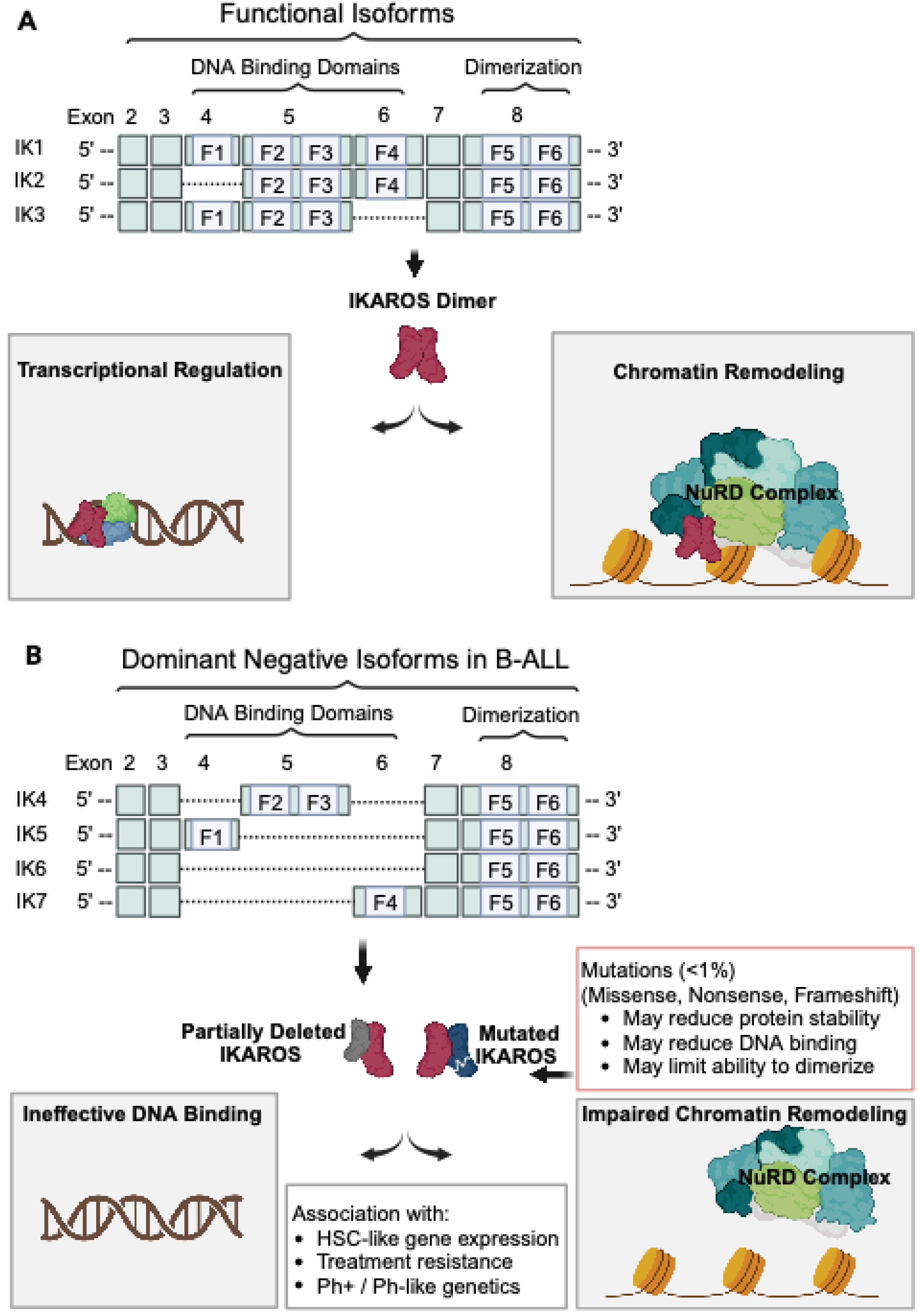 Biomedicines 12 00089 g001 Biomedicines 12 00089 g001